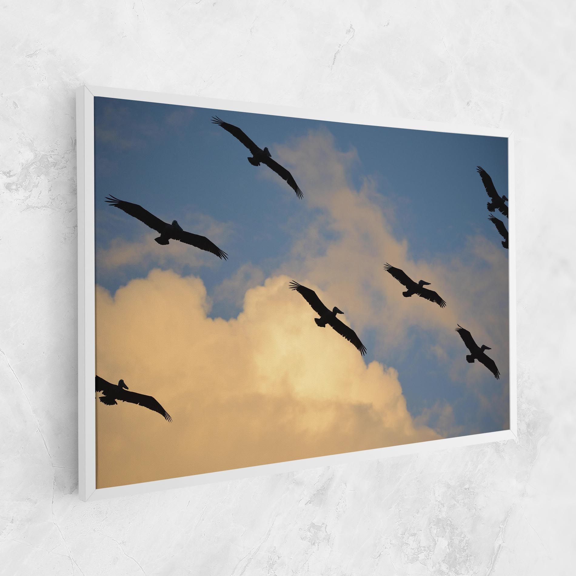 Bird Shilouette Cloud mockup 1
