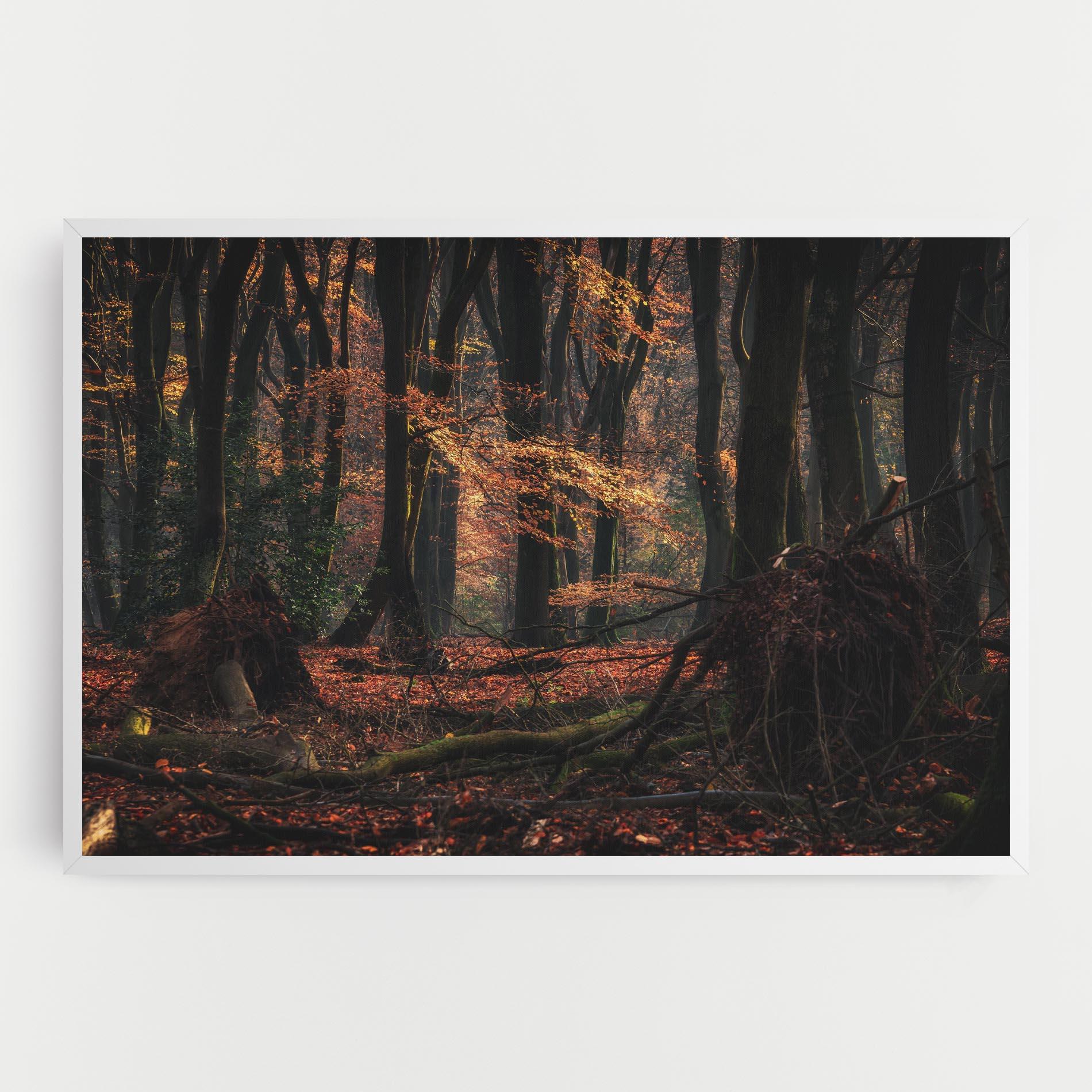 Vászonkép Autumn Forest Trees mockup 0