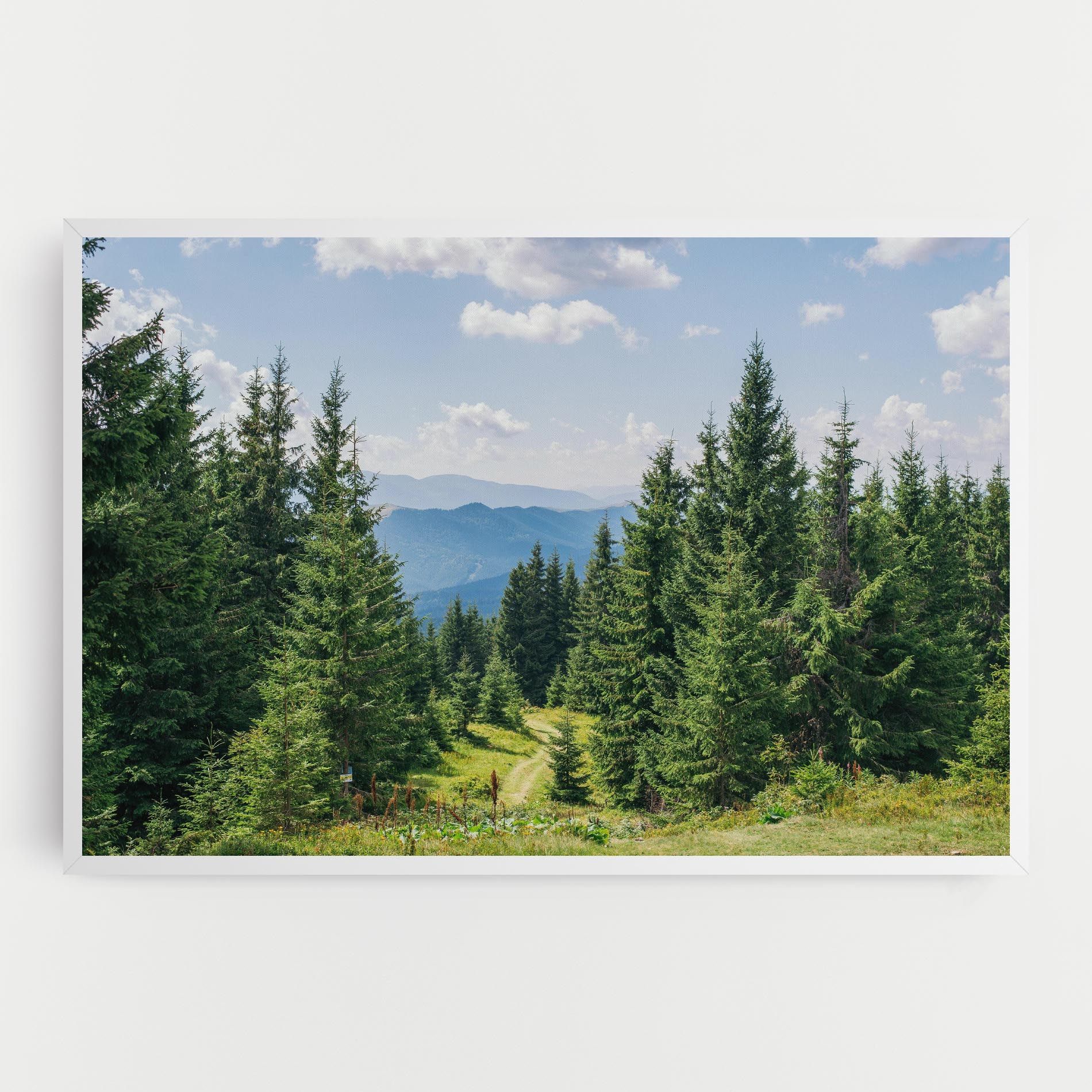 Carpathian Mountain mockup 0