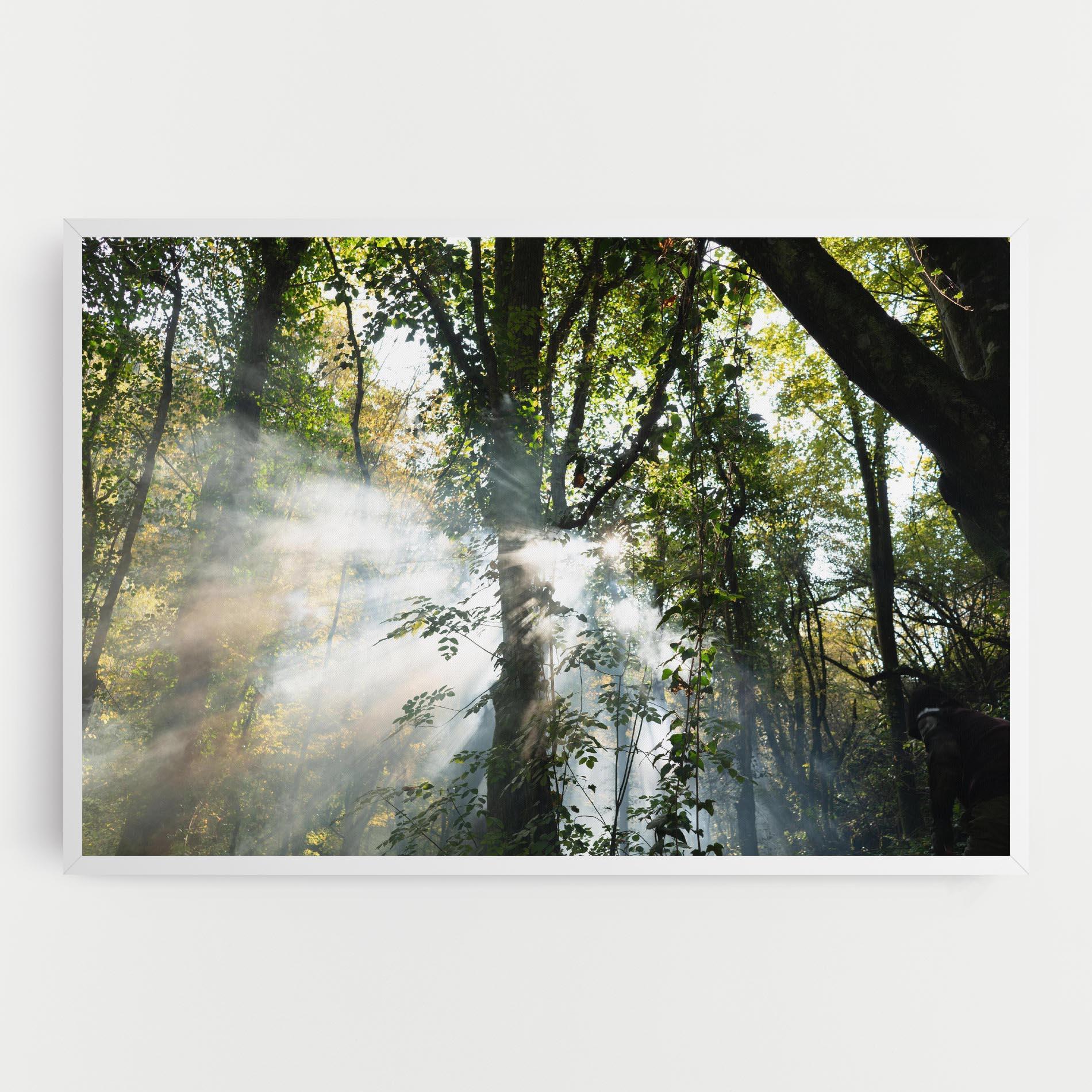 Vászonkép Foggy Light Forest mockup 0