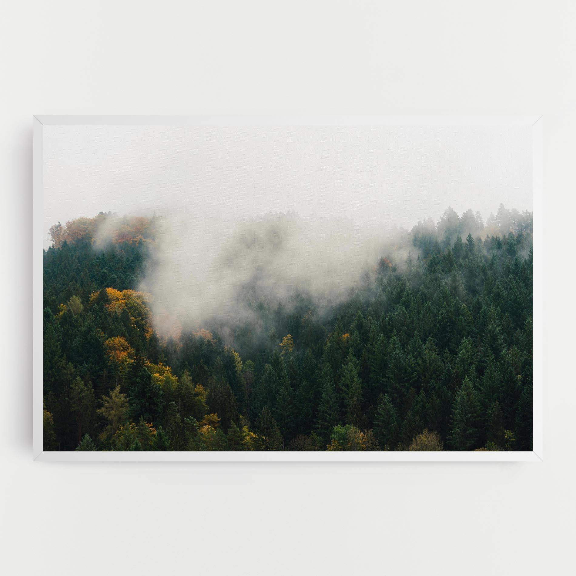 Vászonkép Foggy Tree Forest mockup 0