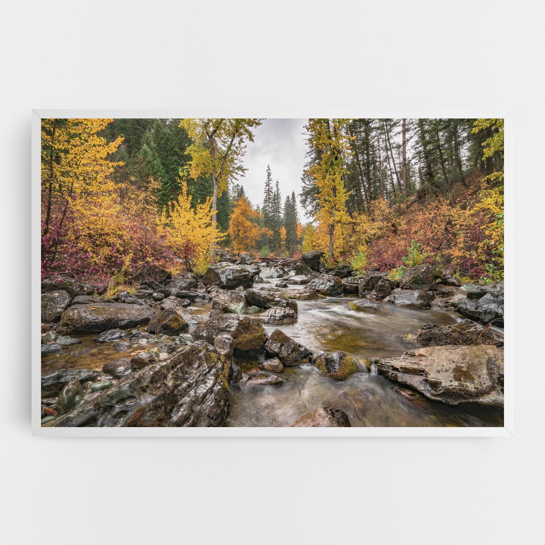 Forest Lake Rocks mockup 0