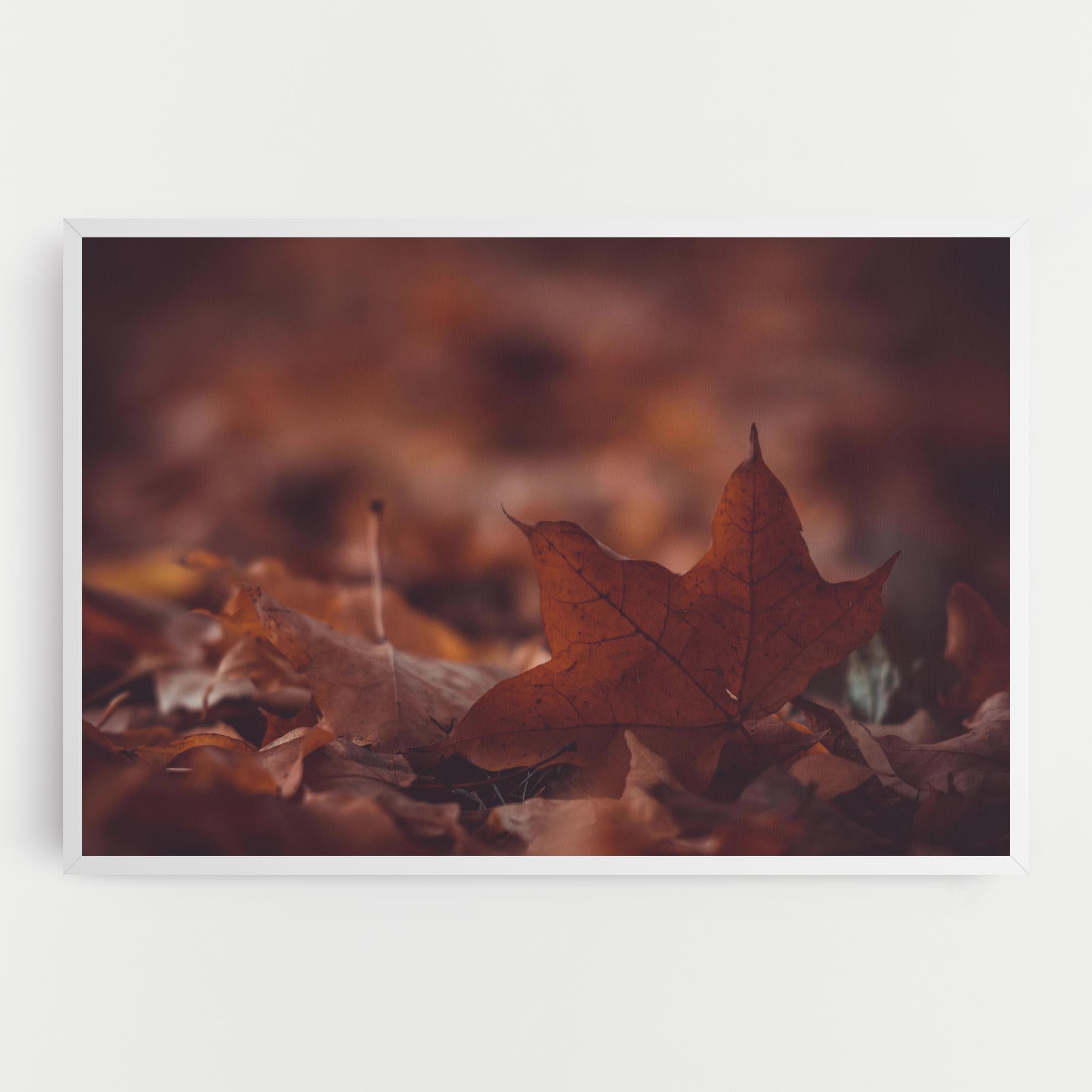 Vászonkép Kristian Seedorff Bl1jBUEIeo8 Unsplash mockup 0