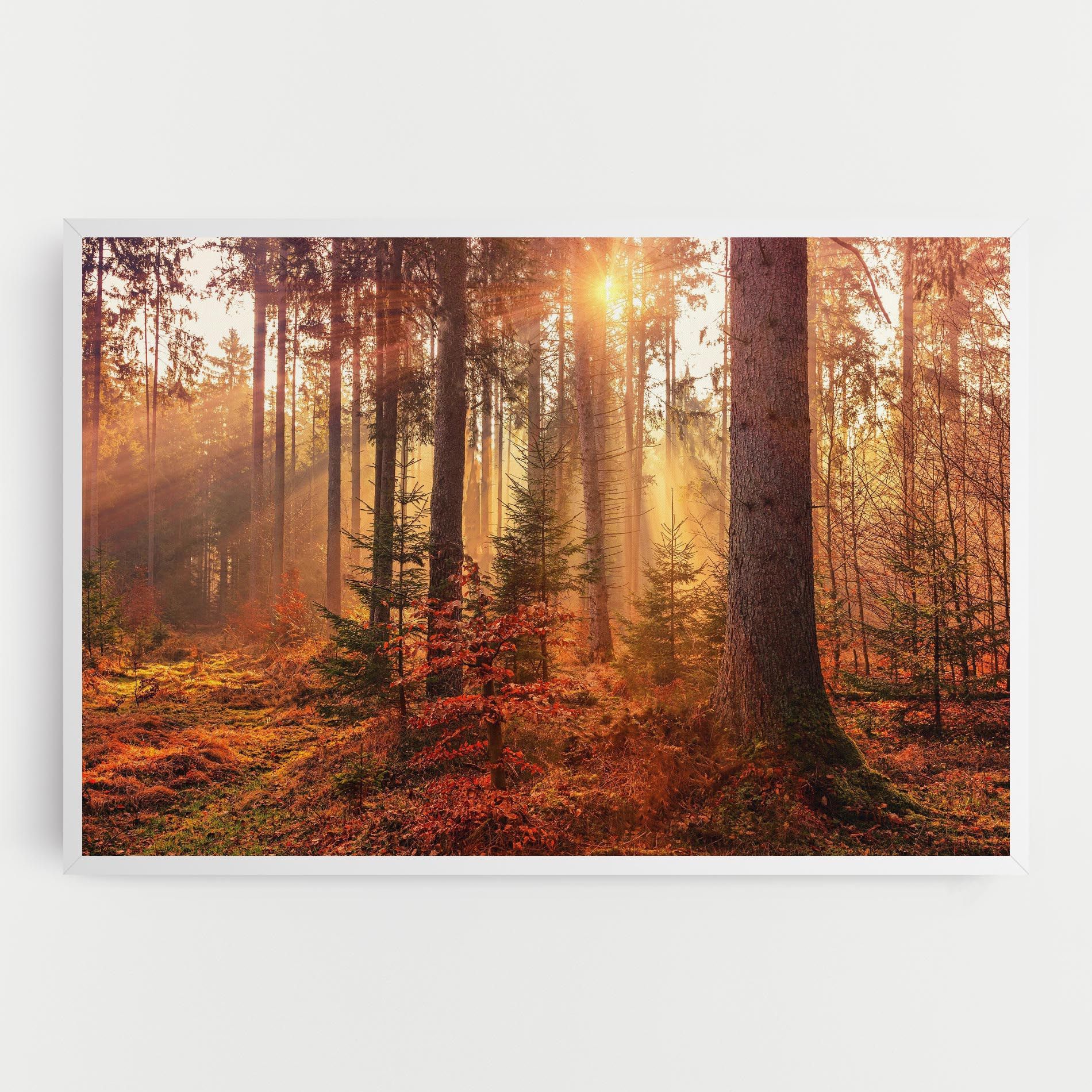 Orange Light Forest mockup 0