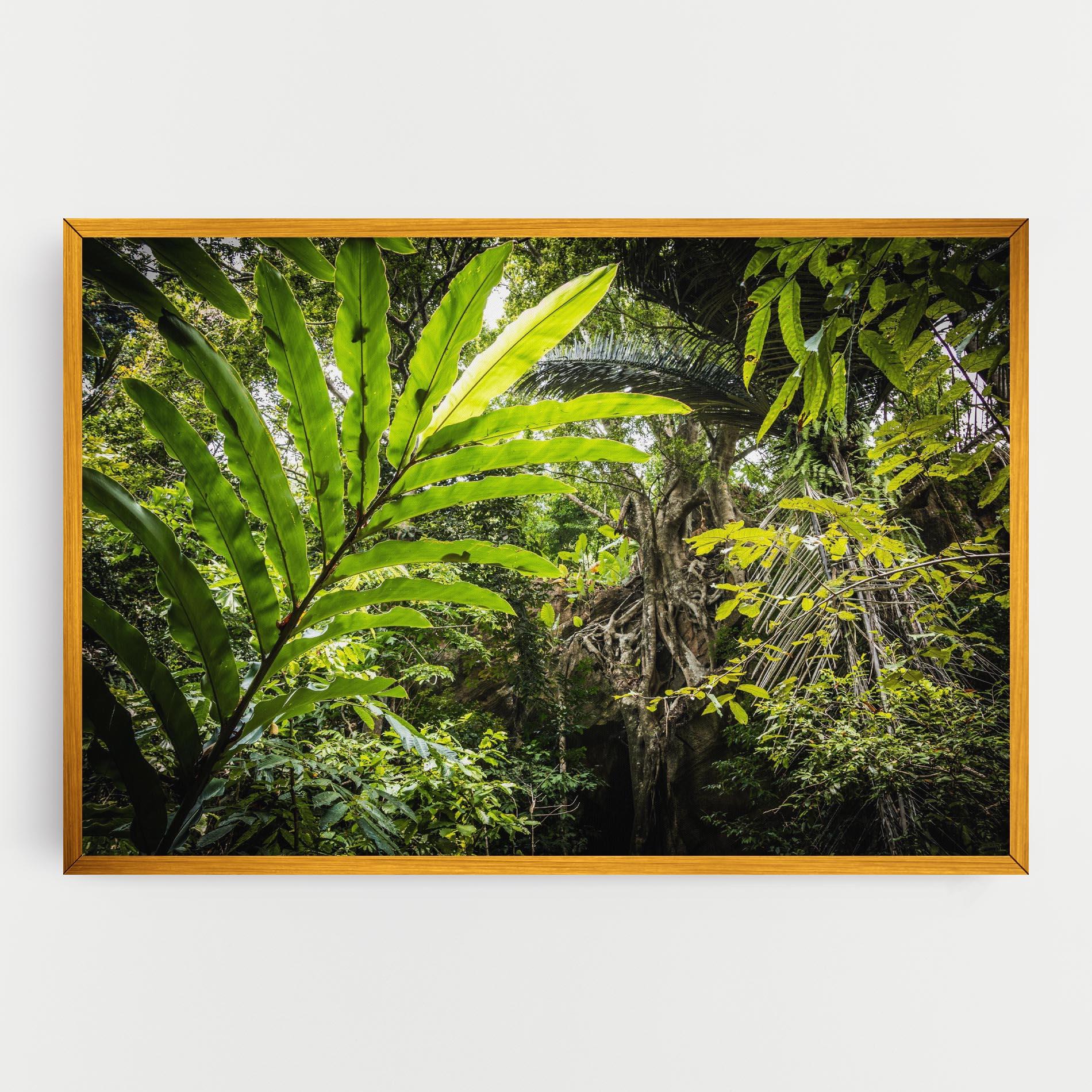 Vászonkép Big Leaf Forest mockup 0