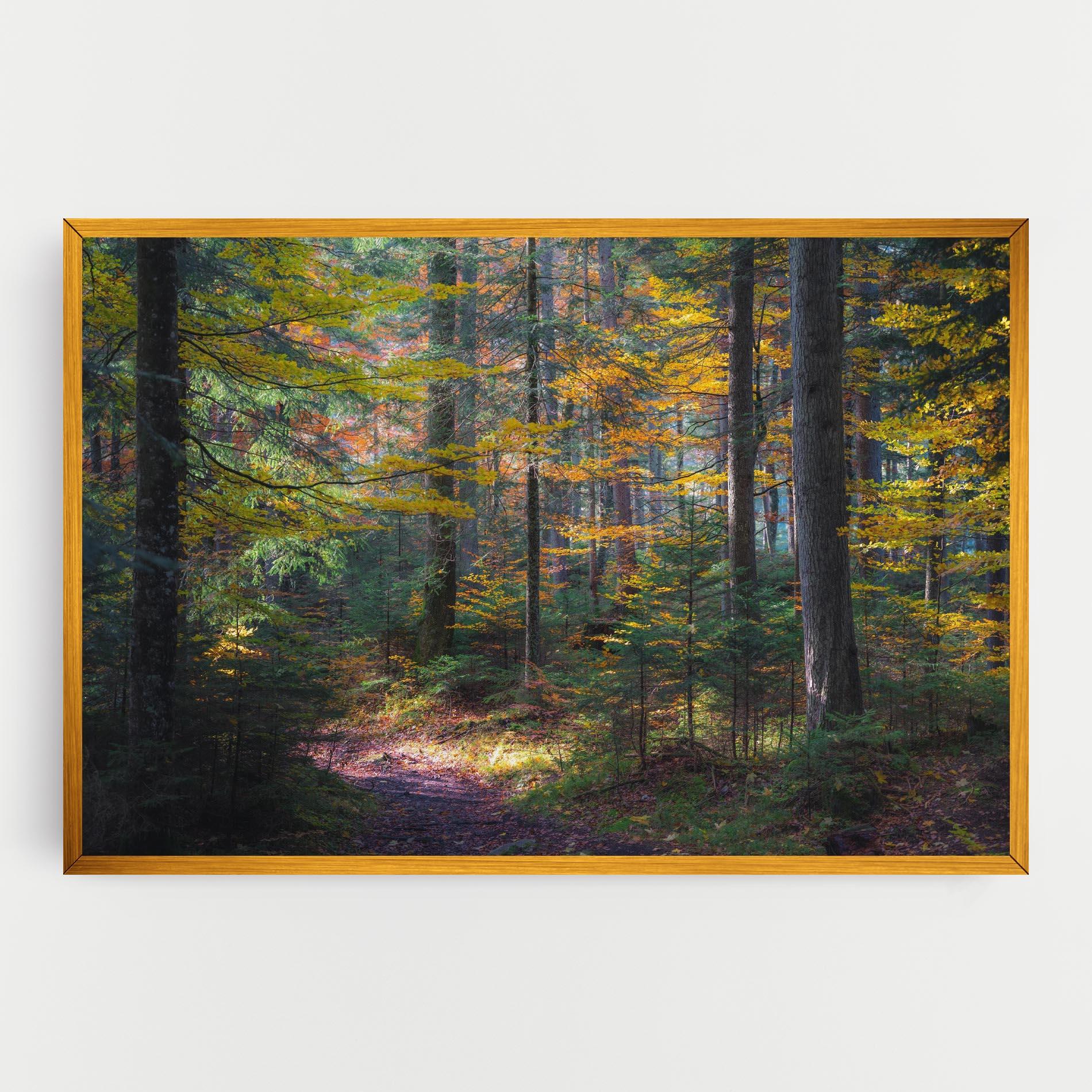 Vászonkép Dreamy Path Dorest mockup 0