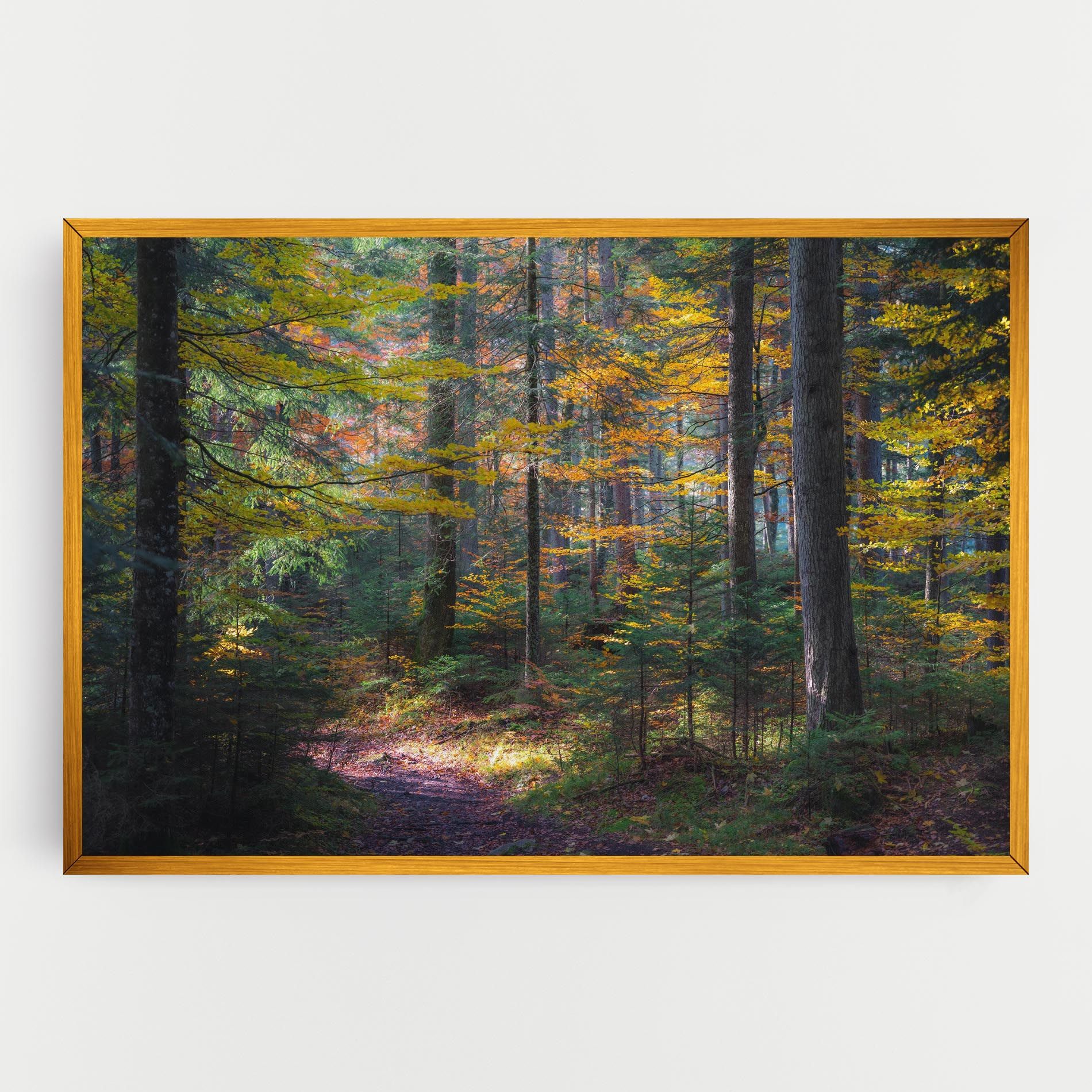 Dreamy Path Dorest mockup 0