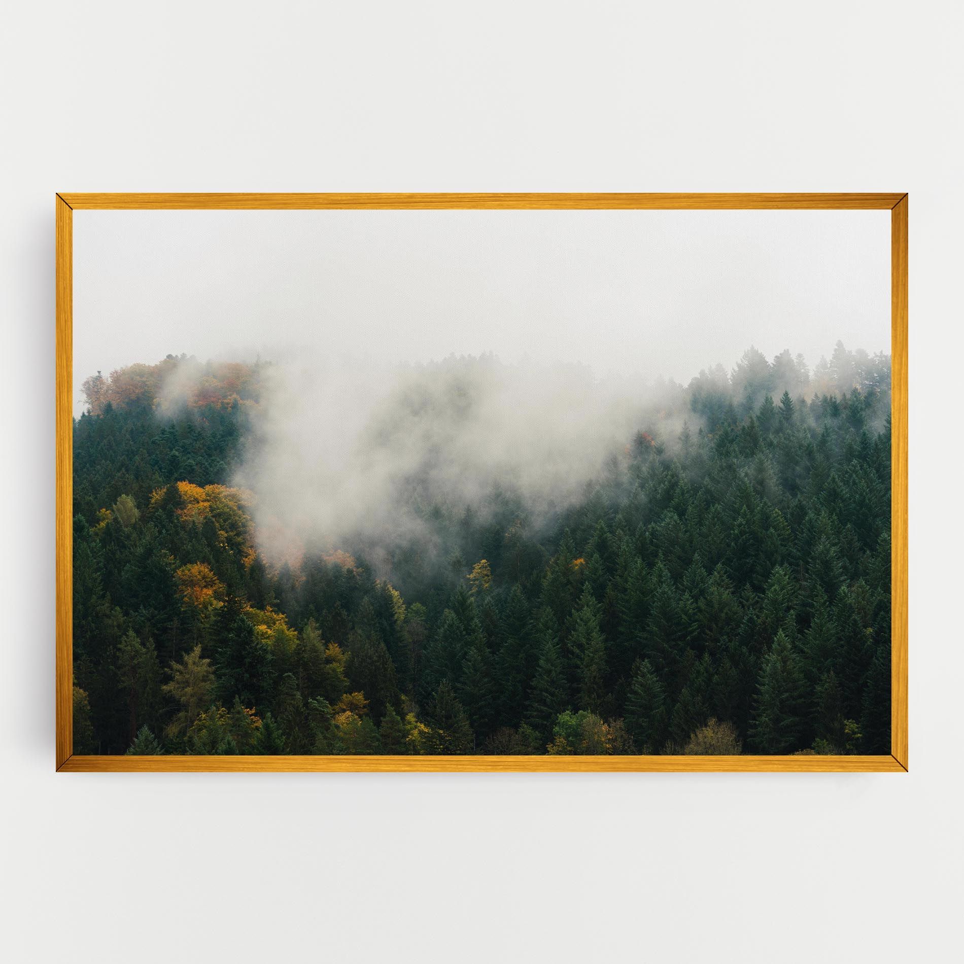 Foggy Tree Forest mockup 0