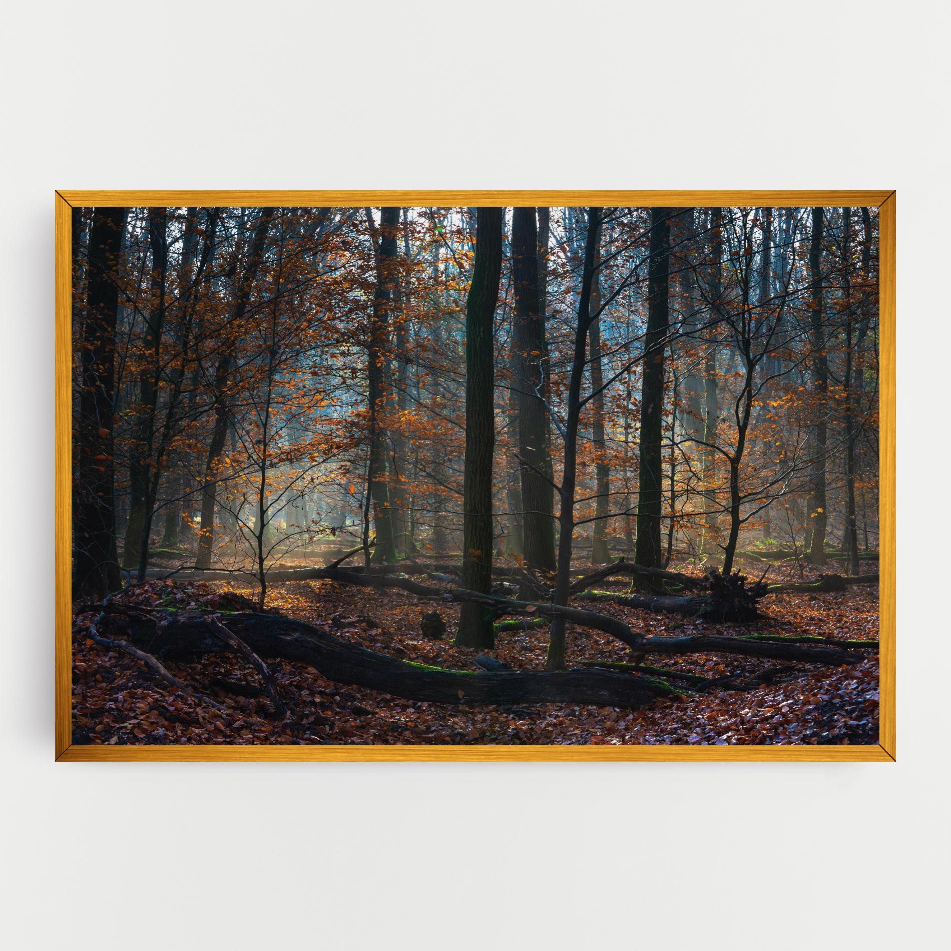 Forest Autumn Day mockup 0