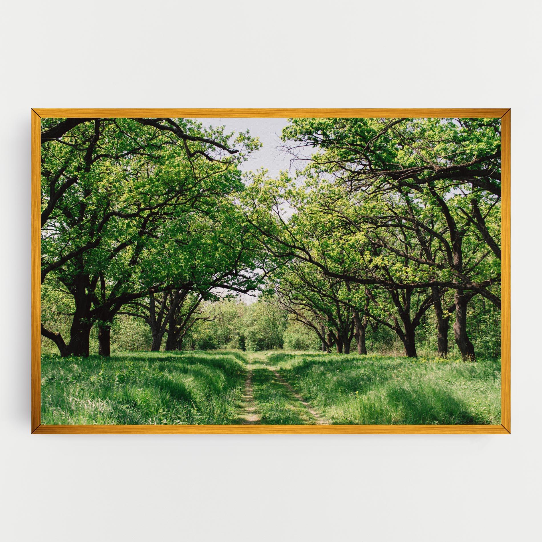 Vászonkép Forest Green Path mockup 0