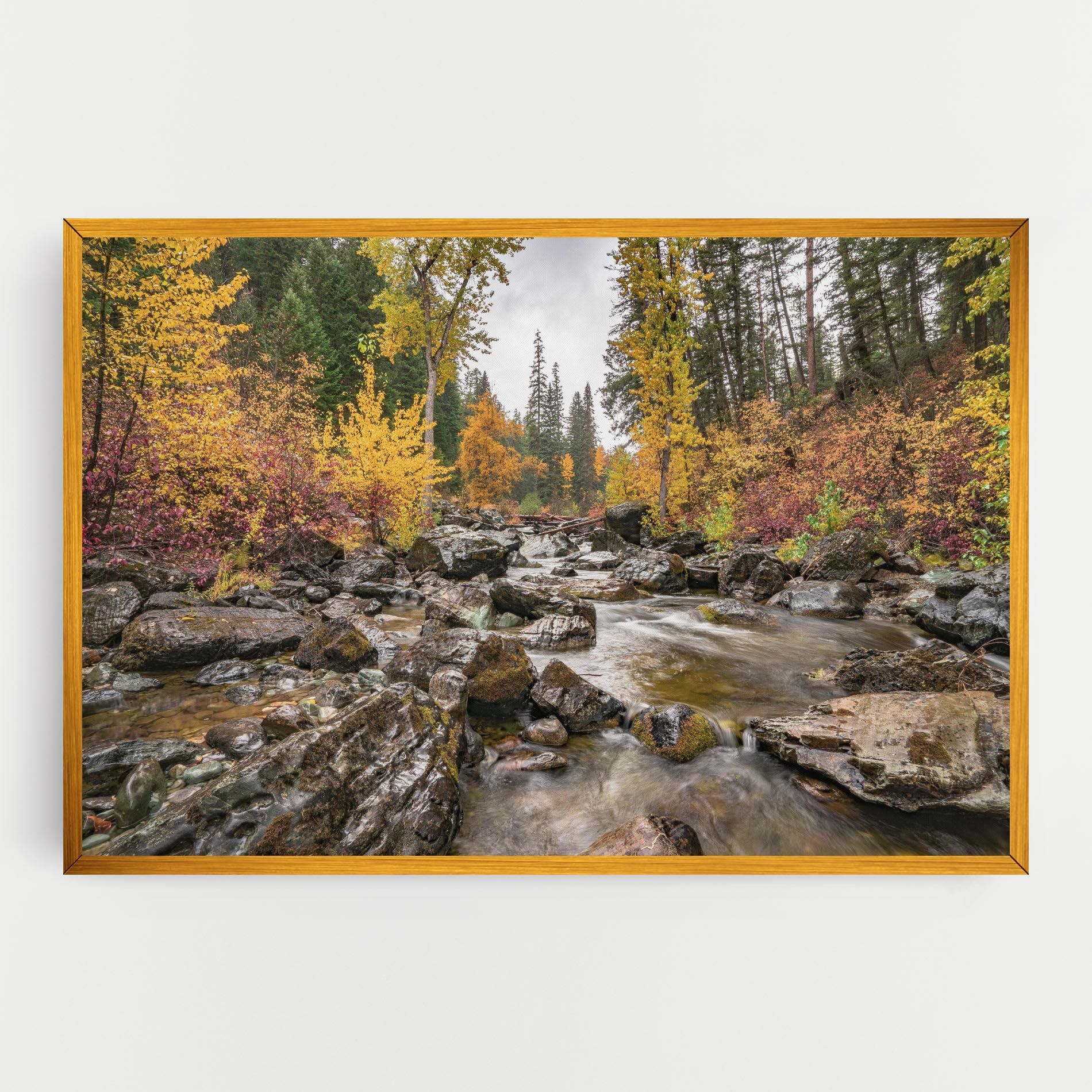 Forest Lake Rocks mockup 0