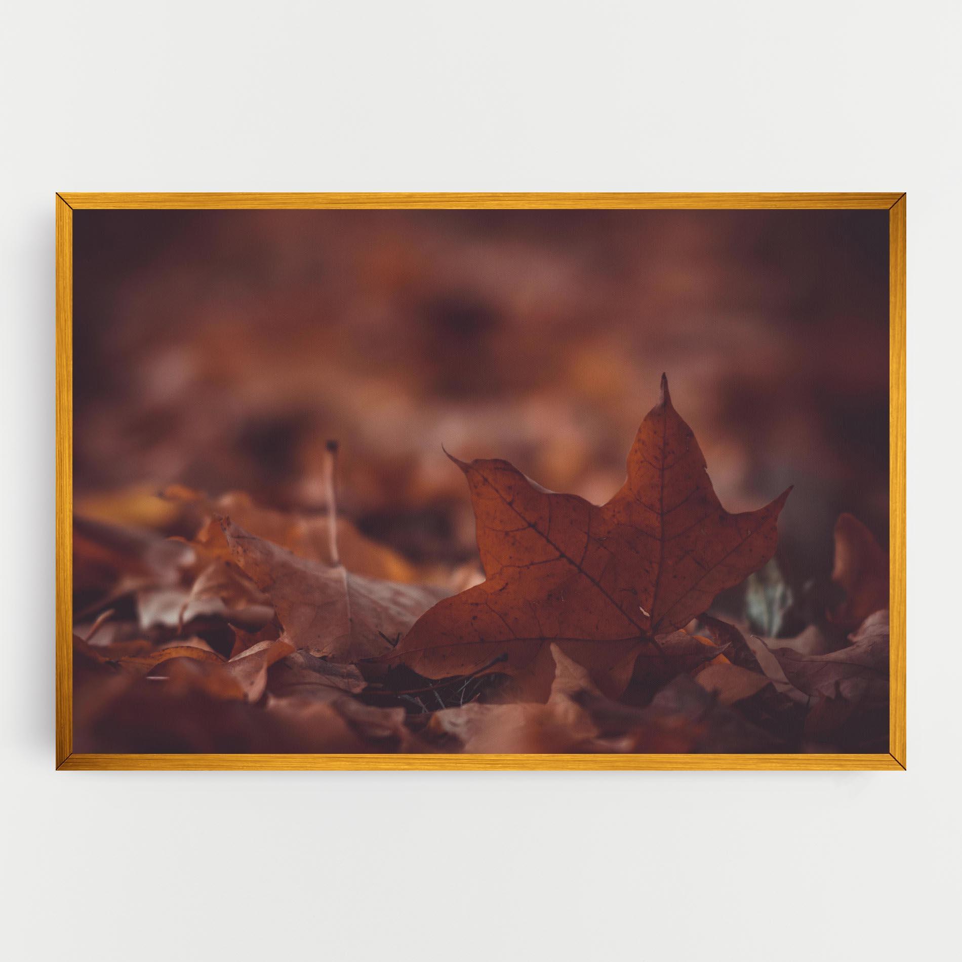 Vászonkép Kristian Seedorff Bl1jBUEIeo8 Unsplash mockup 0