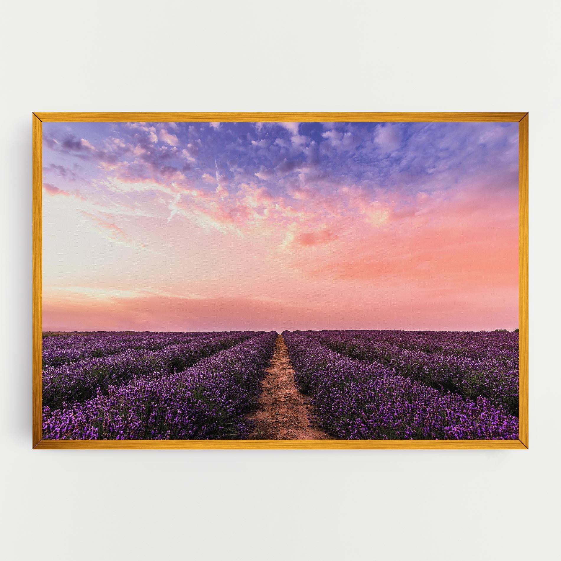 Vászonkép Lavender Field mockup 0