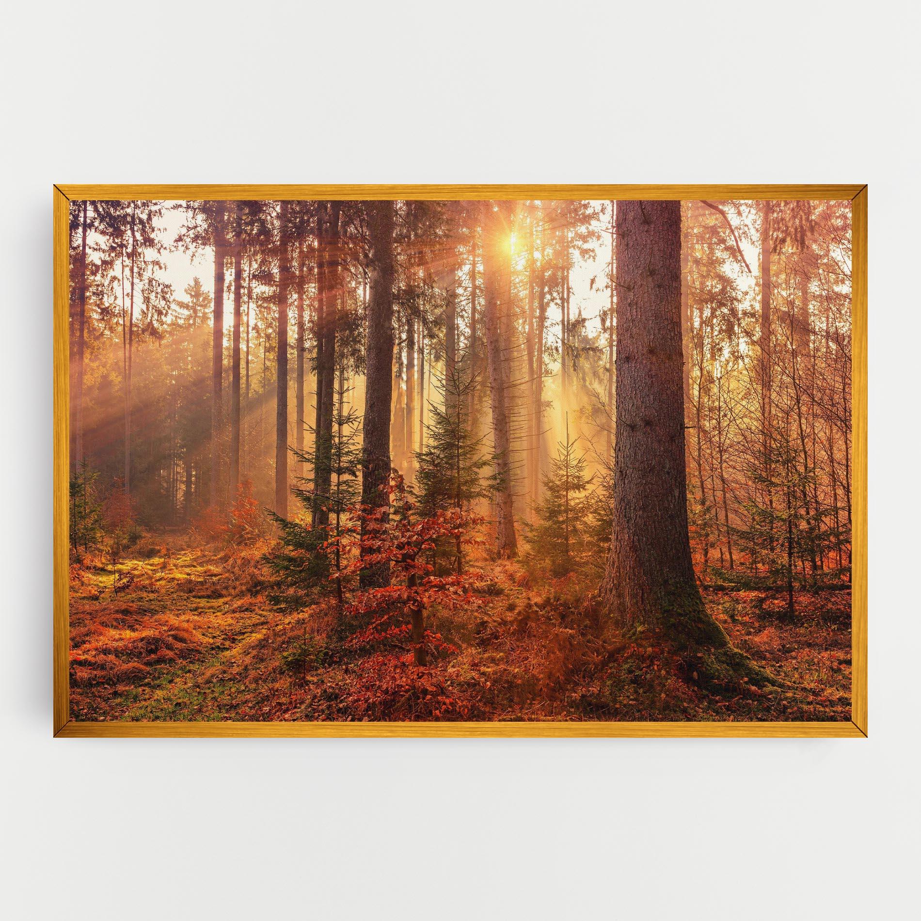Vászonkép Orange Light Forest mockup 0