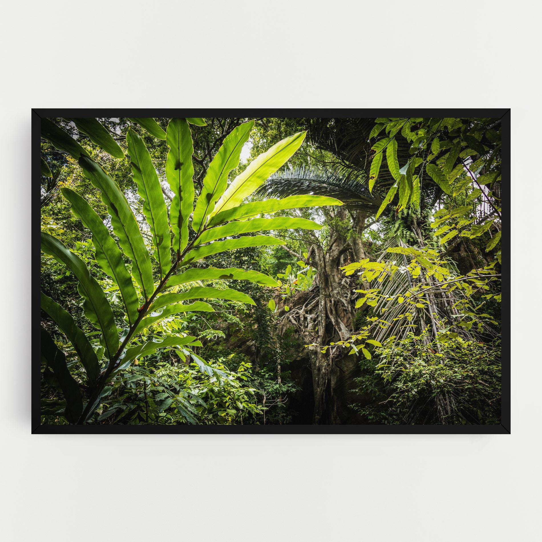 Vászonkép Big Leaf Forest mockup 0