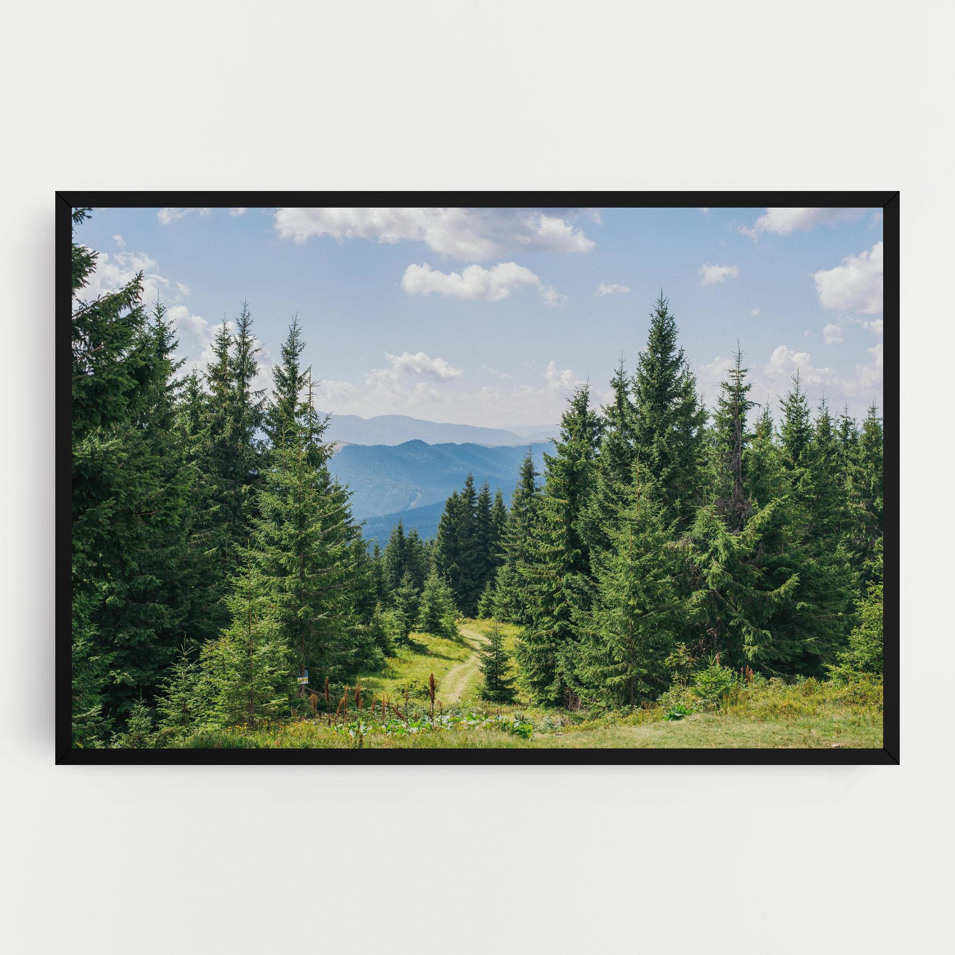 Vászonkép Carpathian Mountain mockup 0