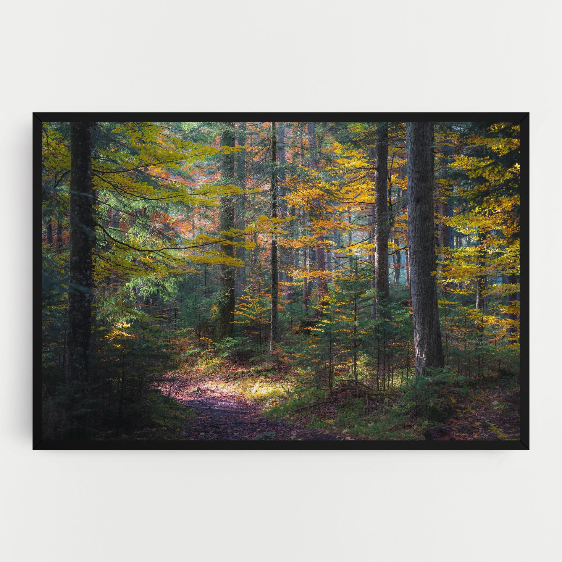 Vászonkép Dreamy Path Dorest mockup 0