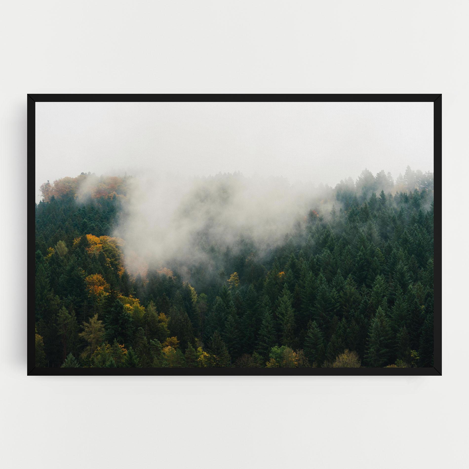 Vászonkép Foggy Tree Forest mockup 0