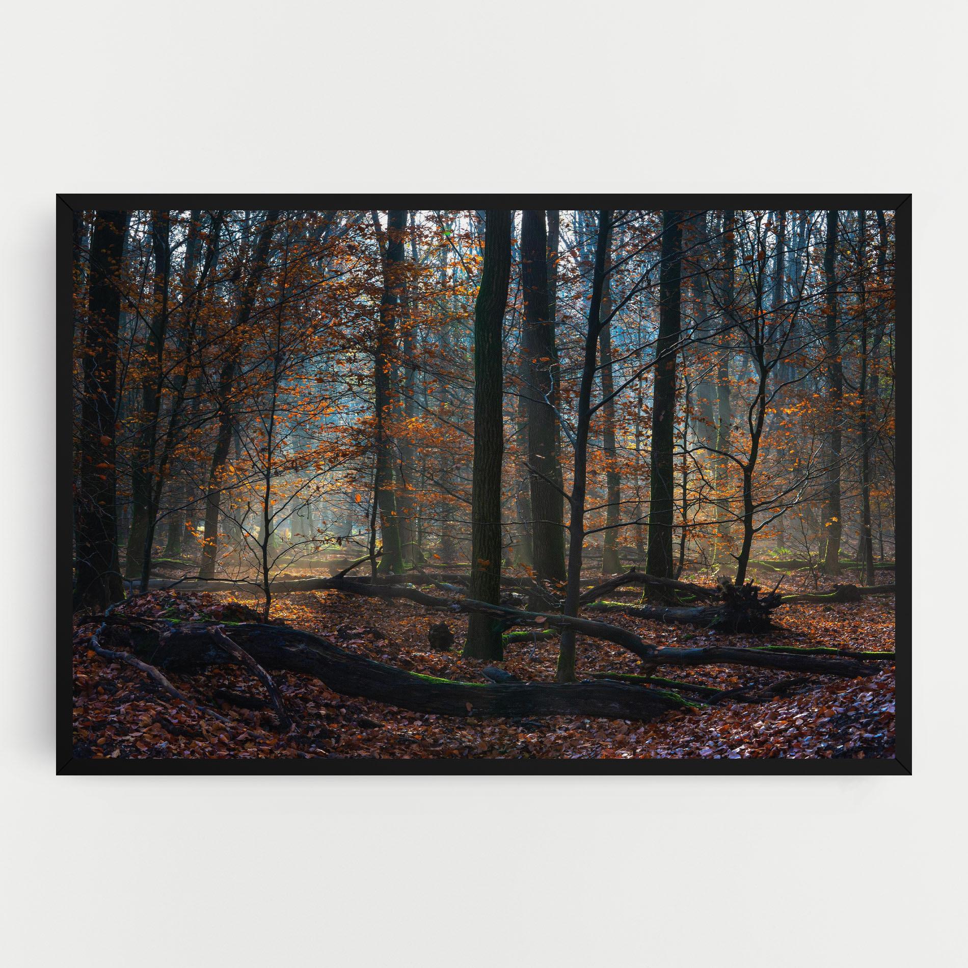 Vászonkép Forest Autumn Day mockup 0