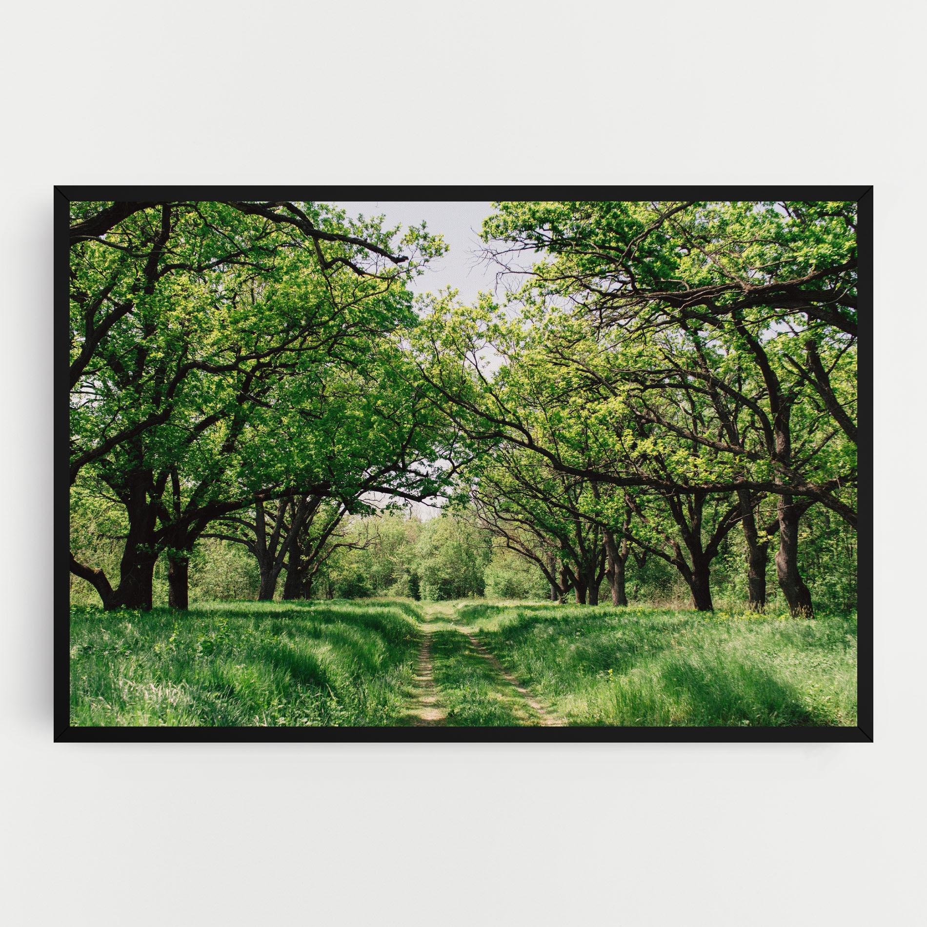 Vászonkép Forest Green Path mockup 0