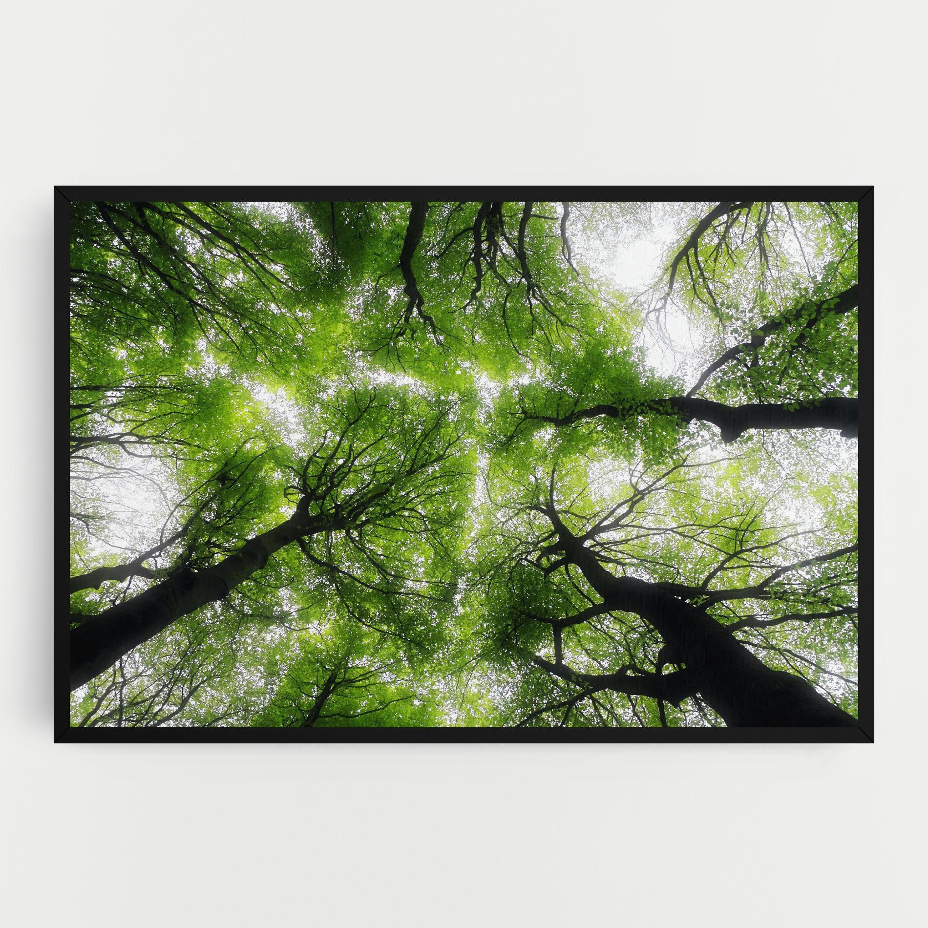 Vászonkép Forest Green Tree mockup 0