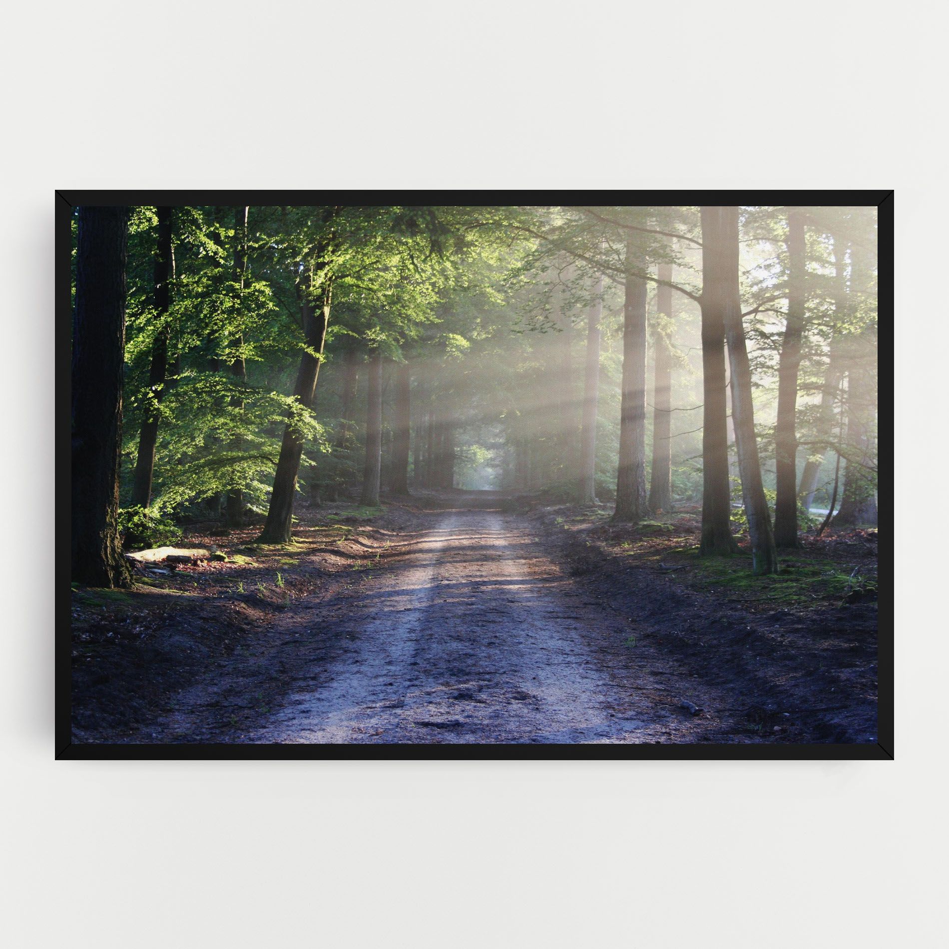 Forest Road mockup 0