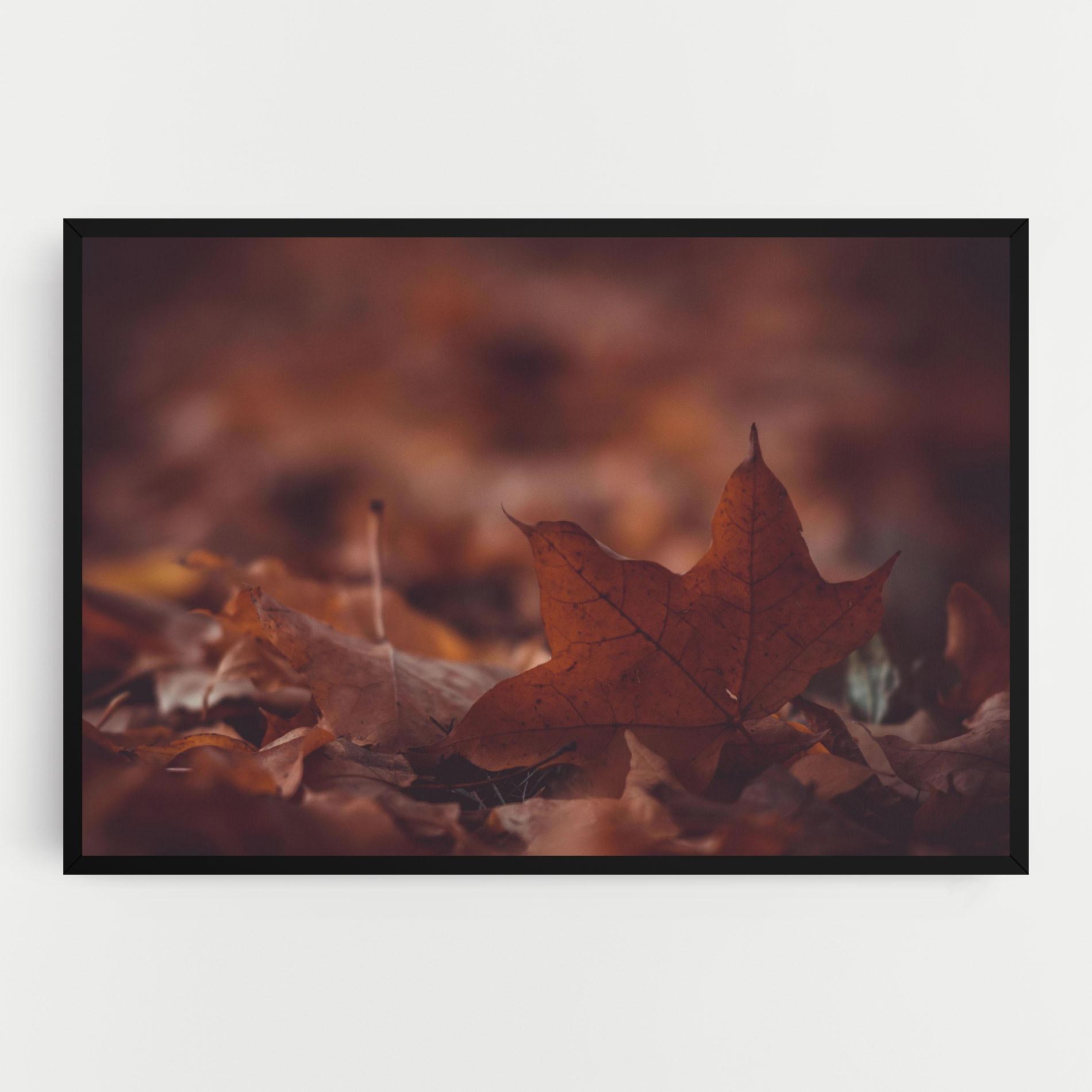 Vászonkép Kristian Seedorff Bl1jBUEIeo8 Unsplash mockup 0