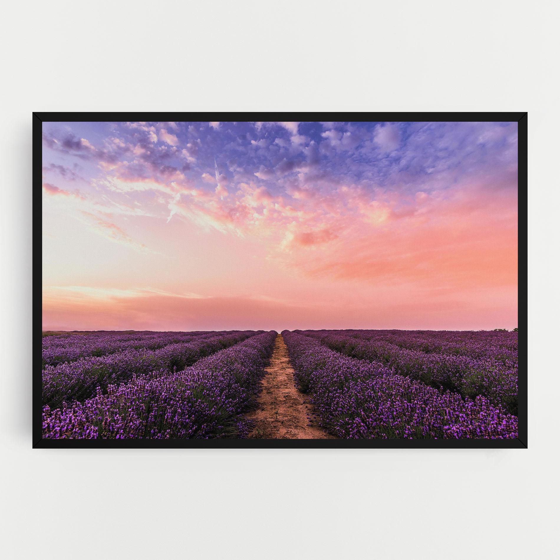 Vászonkép Lavender Field mockup 0