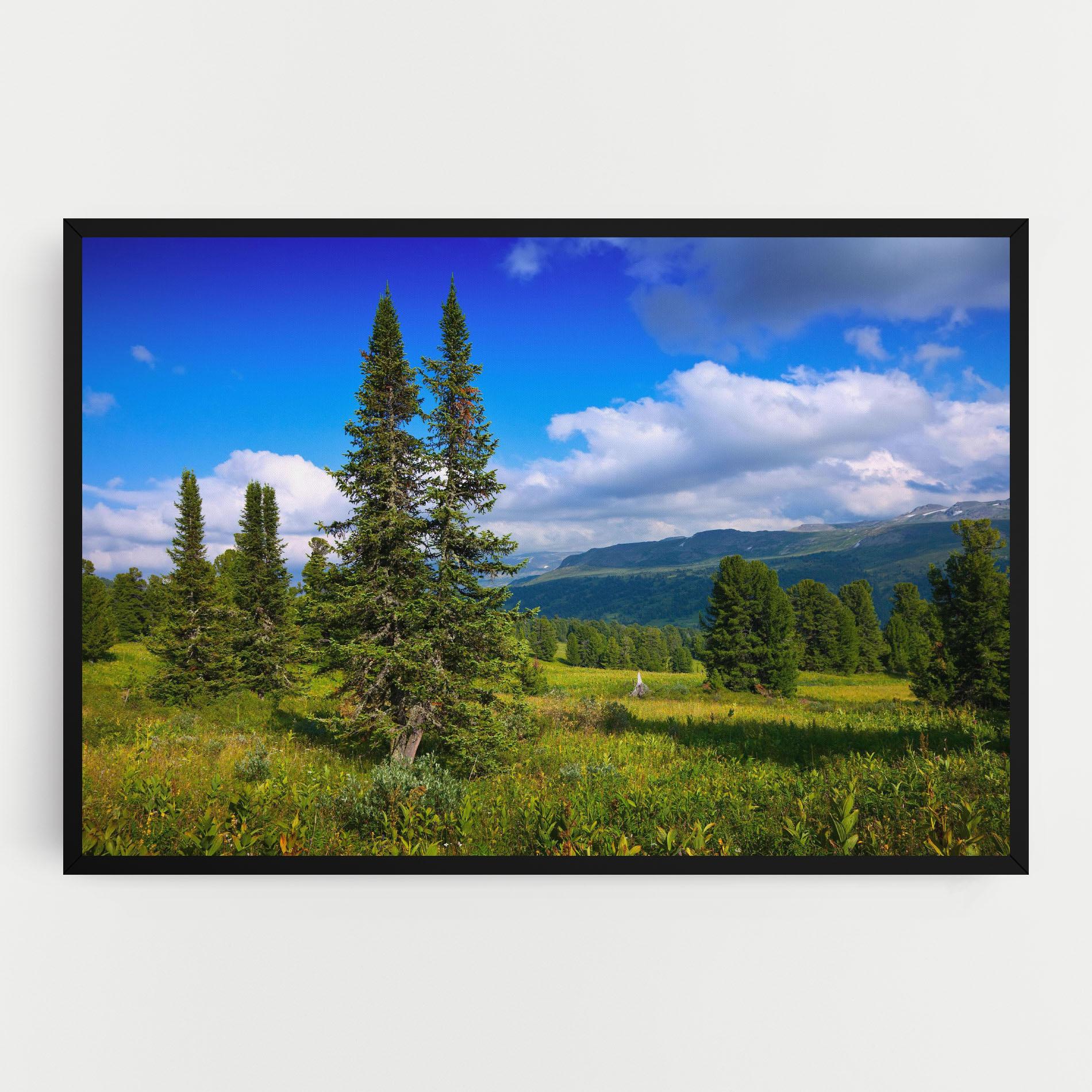 Vászonkép Morning Sunny Field mockup 0