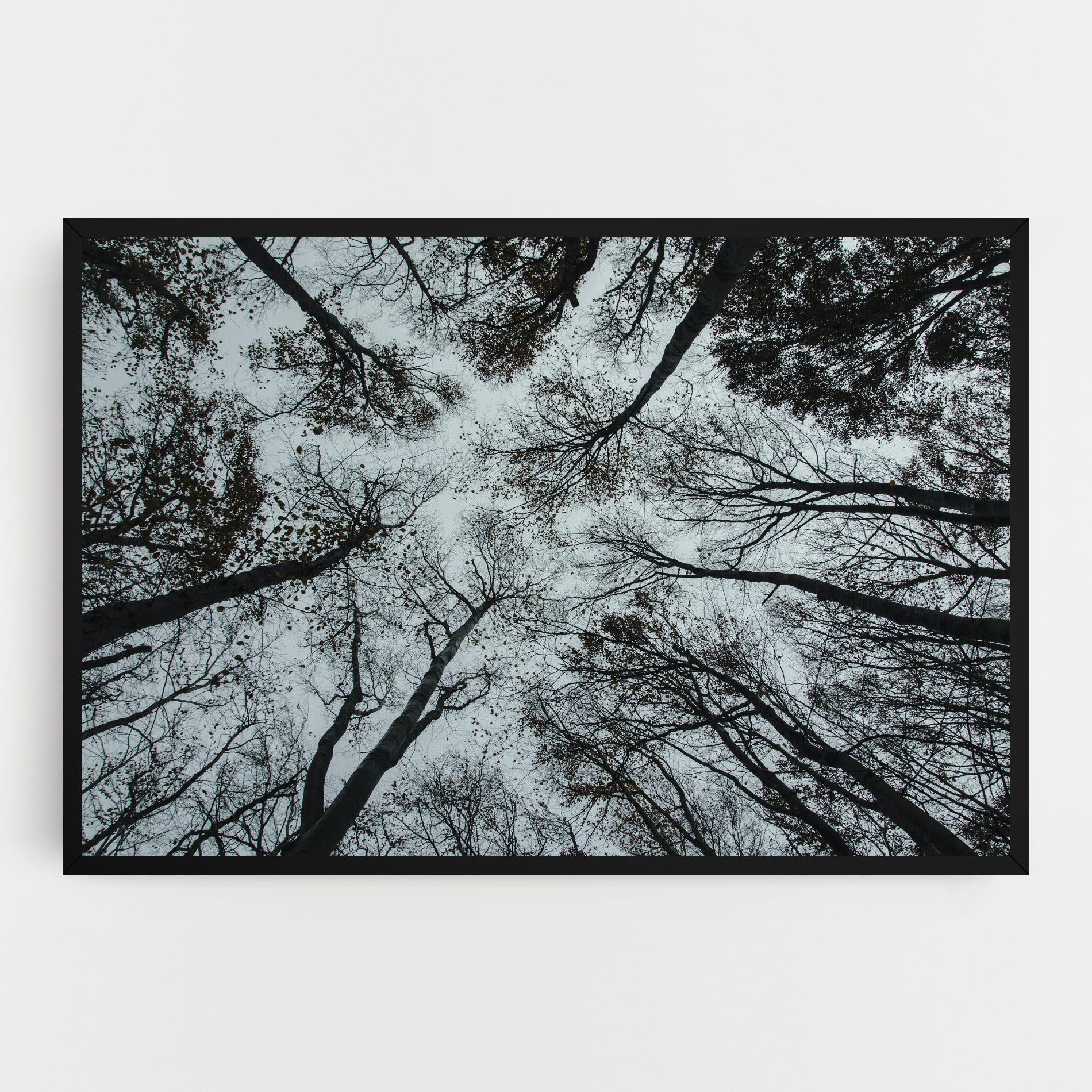 Trees Touching mockup 0