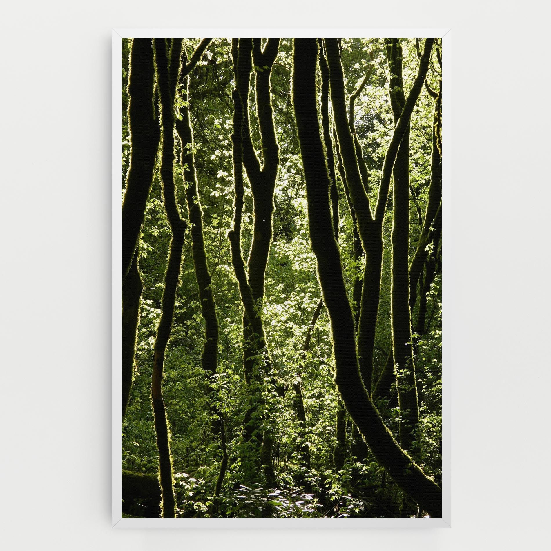 Forest Black Trees mockup 0