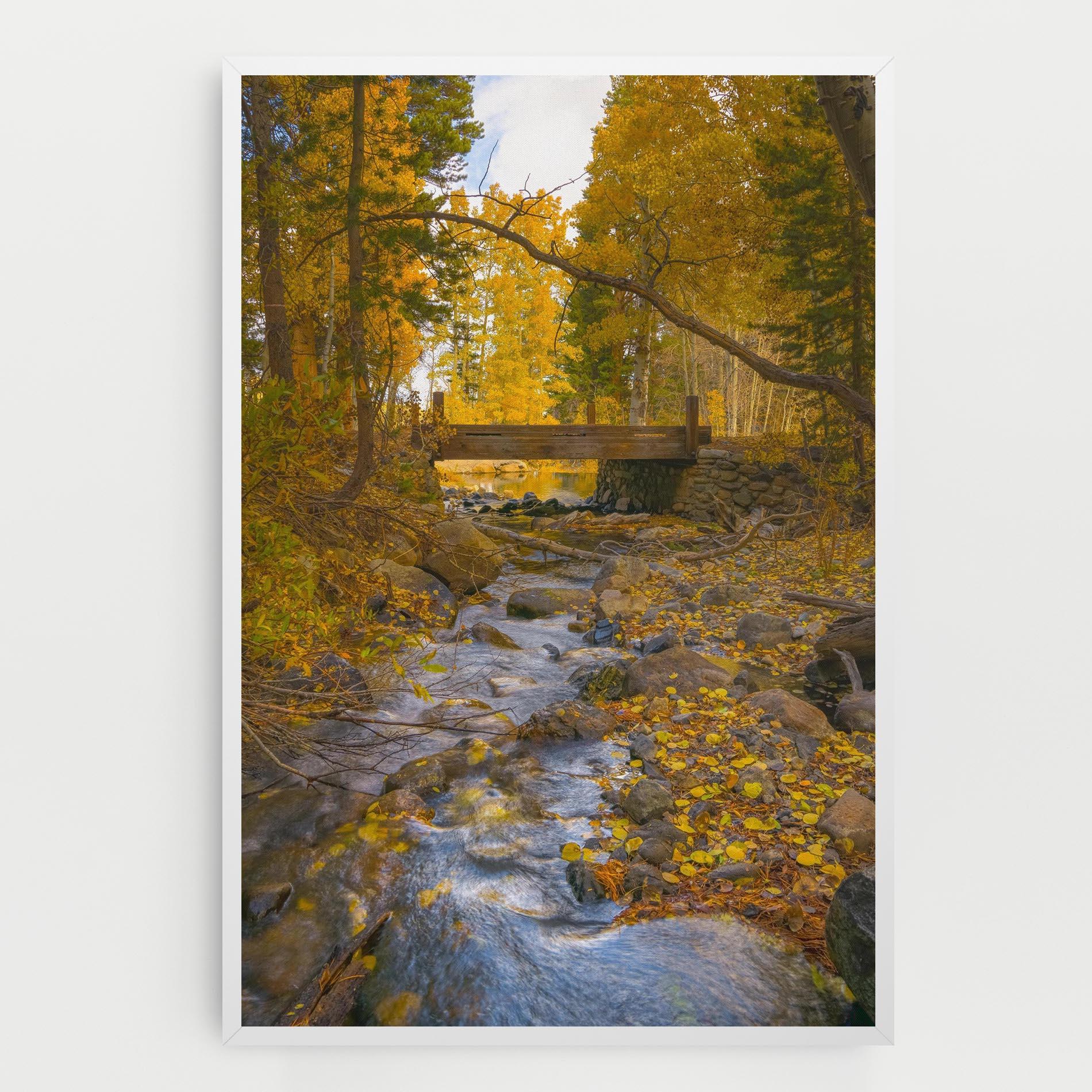 Vászonkép Yellow View Forest mockup 0