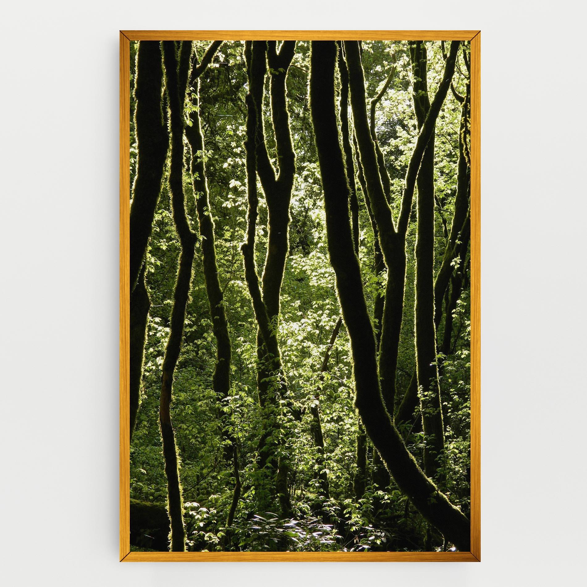 Vászonkép Forest Black Trees mockup 0