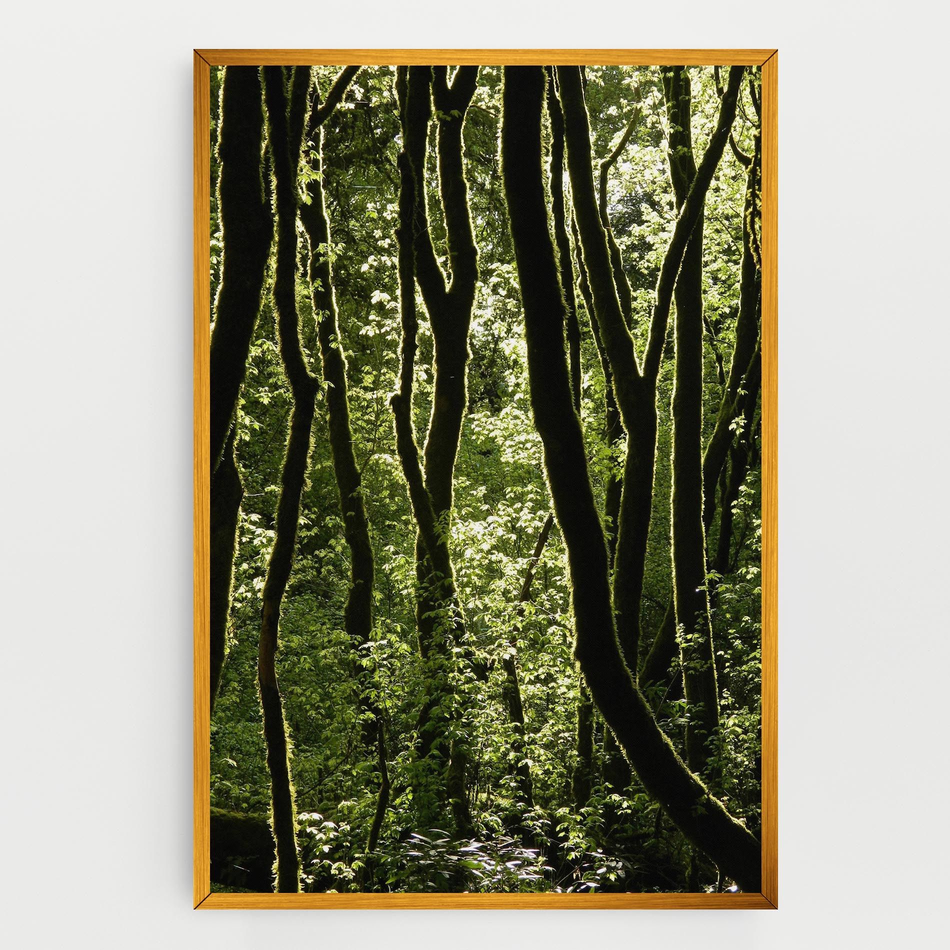 Forest Black Trees mockup 0