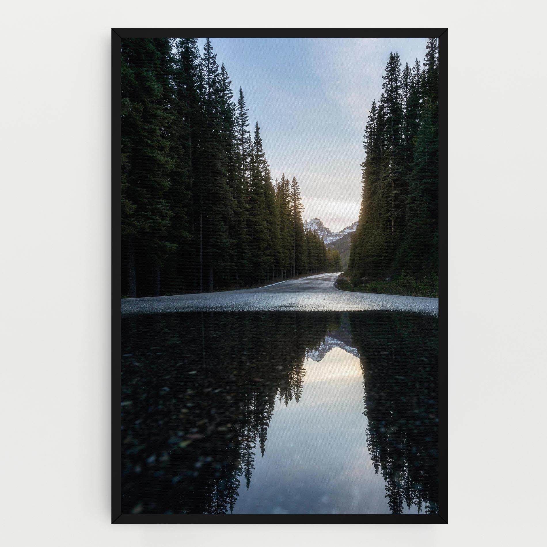 Big Lake Forest mockup 0