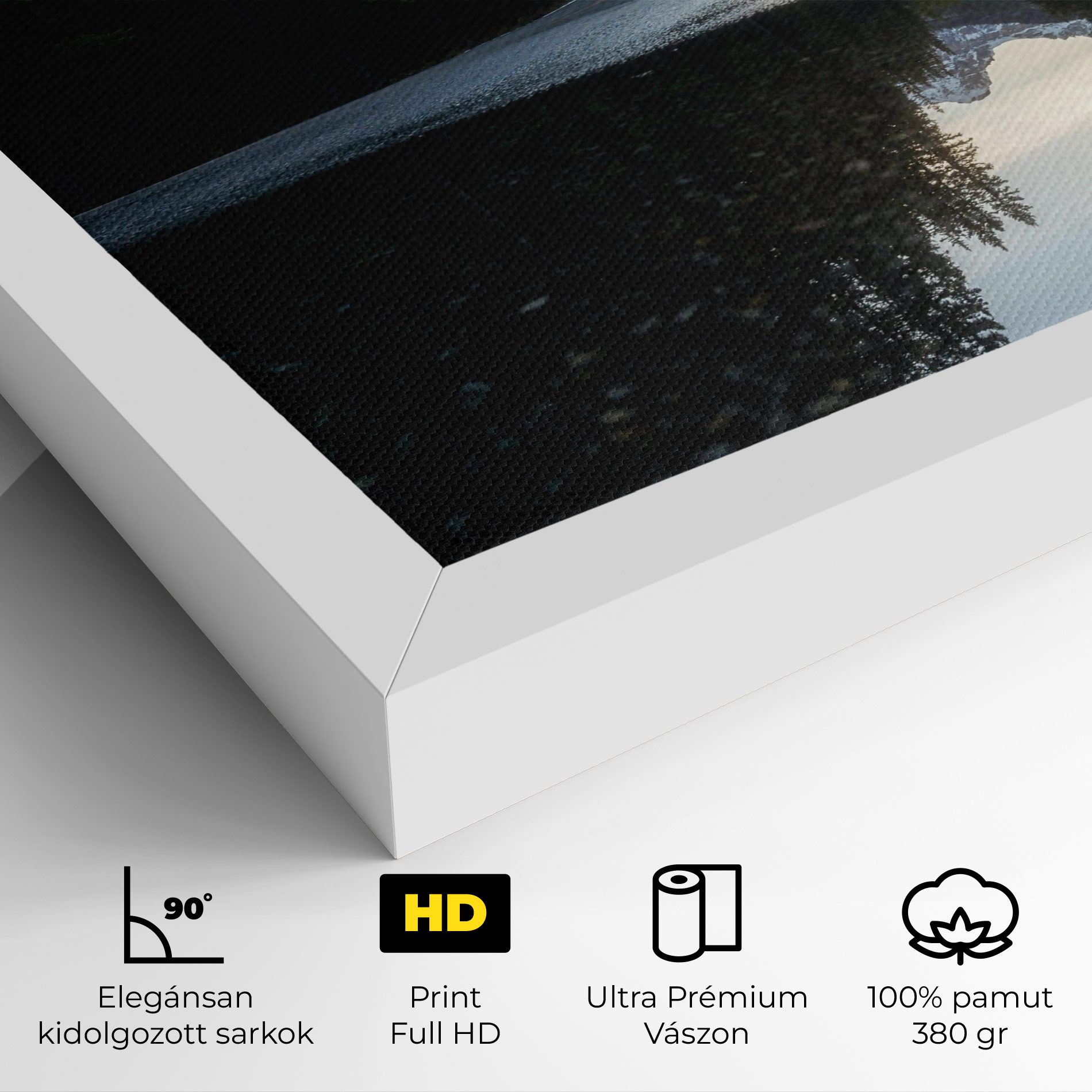 Big Lake Forest mockup 4