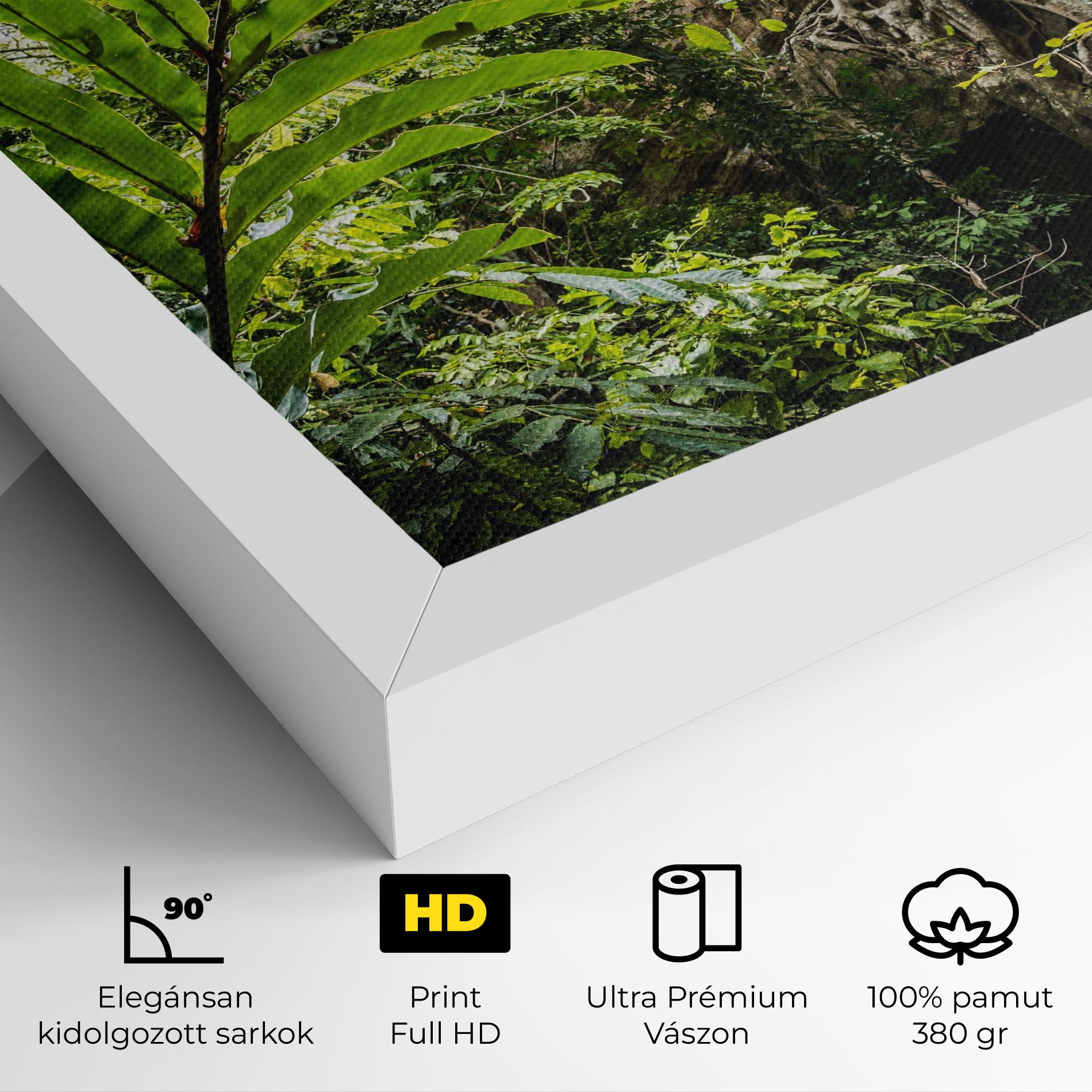 Big Leaf Forest mockup 4