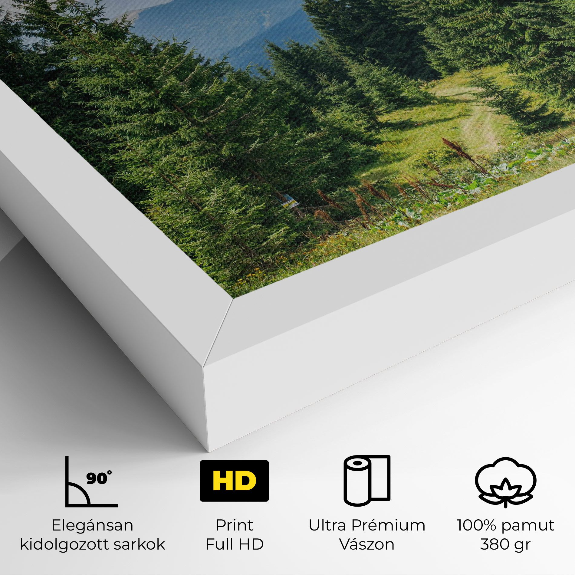 Carpathian Mountain mockup 4
