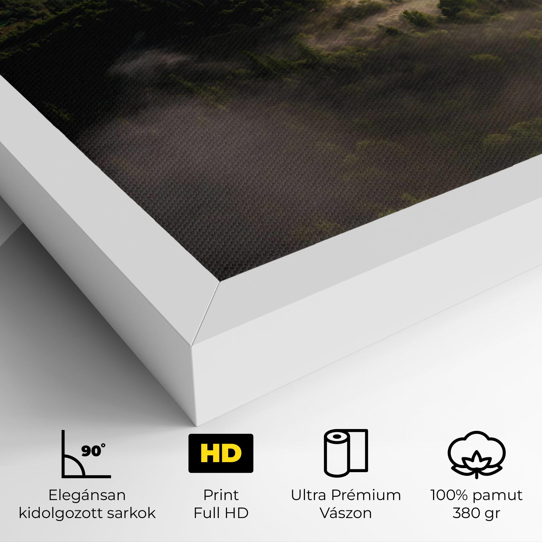 Vászonkép Foggy Forest View mockup 4