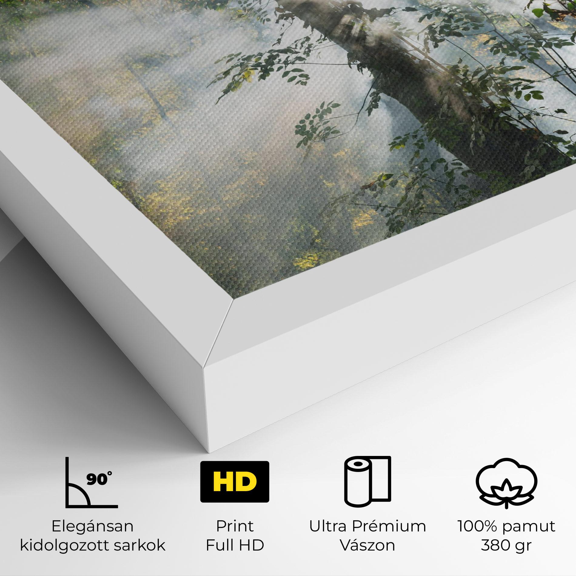 Vászonkép Foggy Light Forest mockup 4