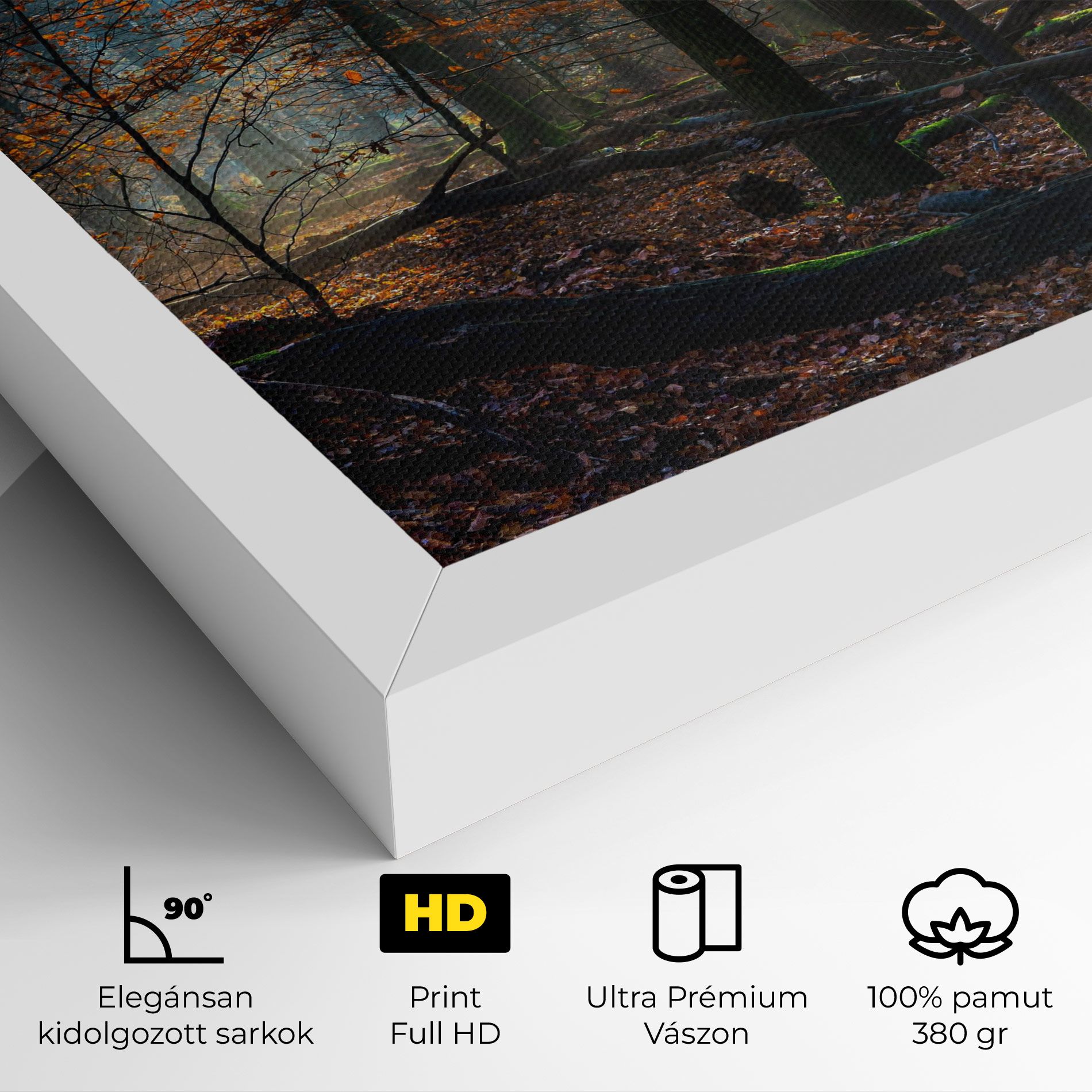 Forest Autumn Day mockup 4