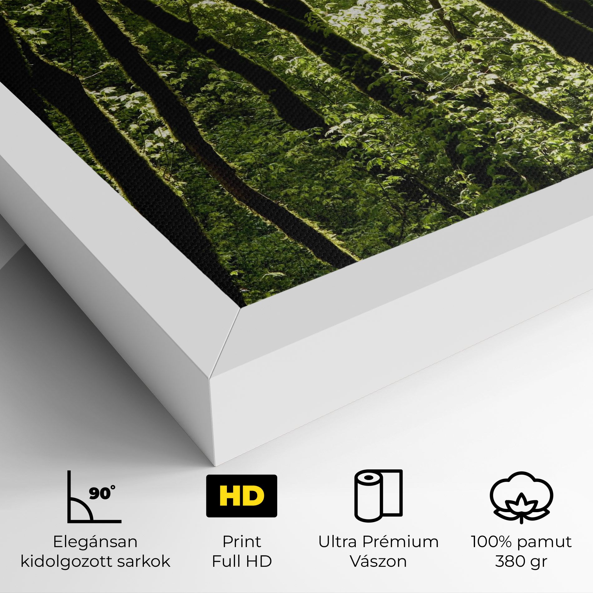 Forest Black Trees mockup 4