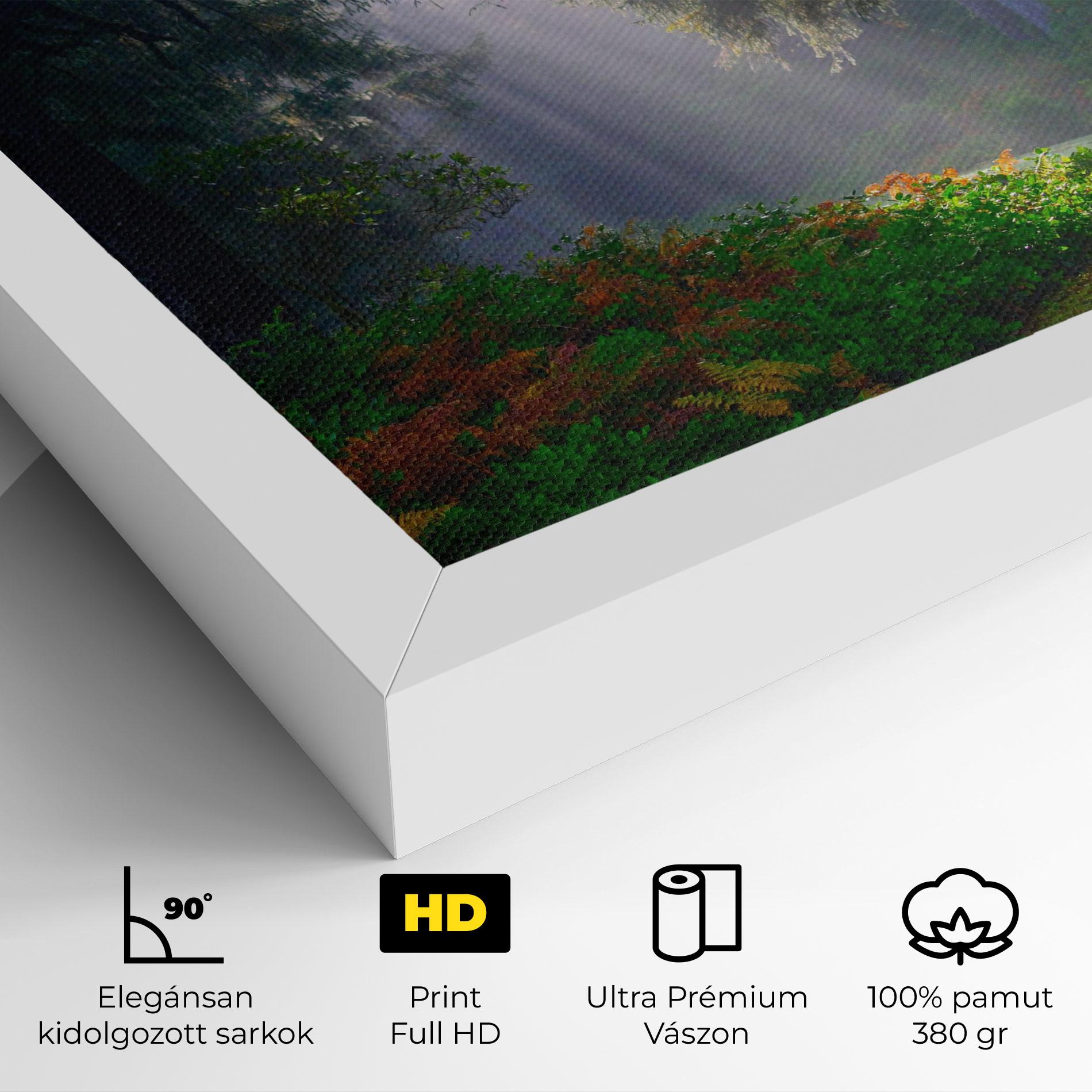 Vászonkép Forest Light mockup 4