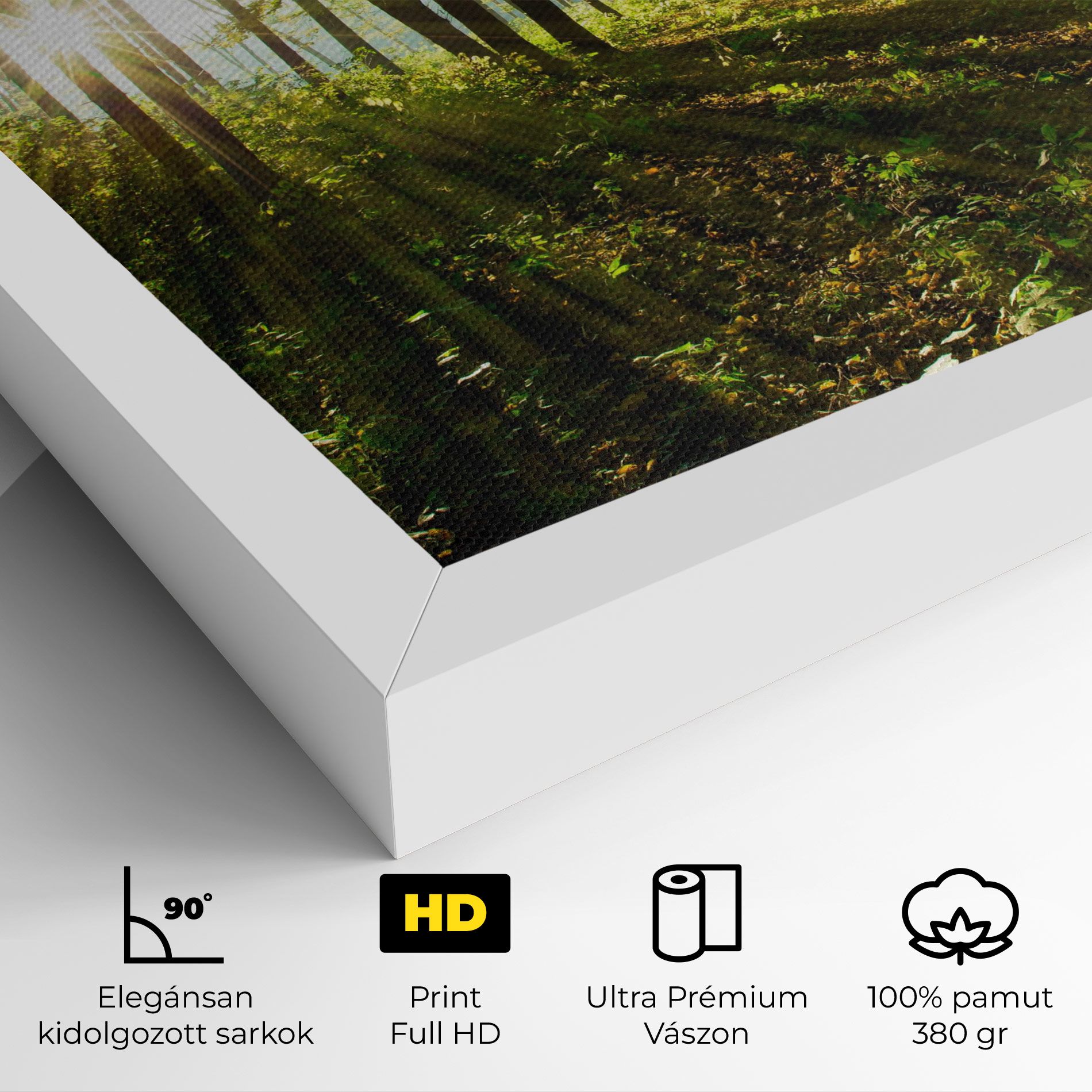 Green Light Forest mockup 4