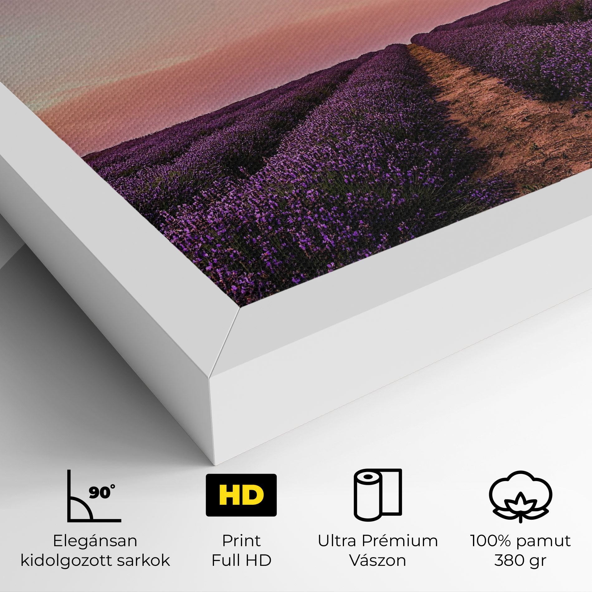 Lavender Field mockup 4