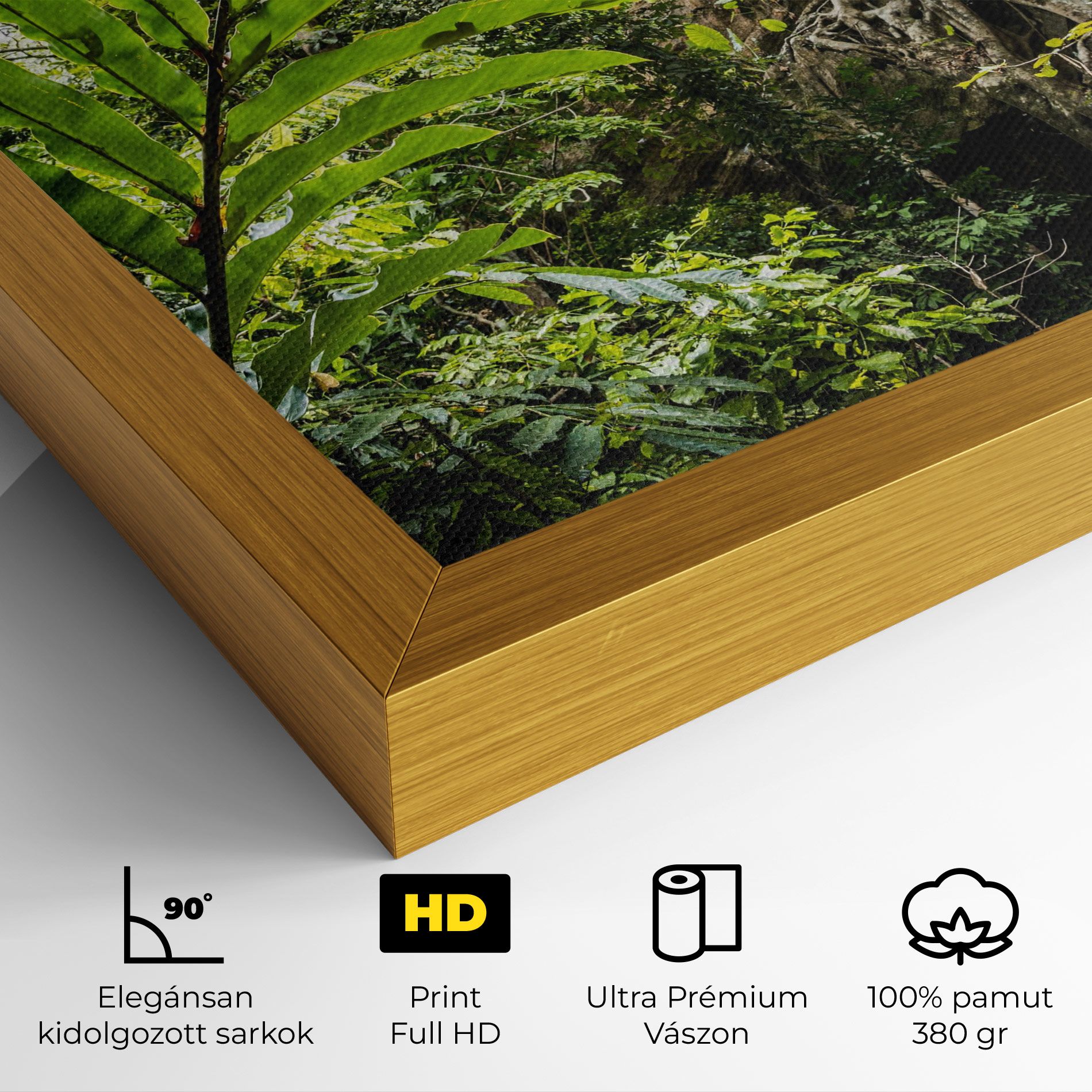 Big Leaf Forest mockup 4