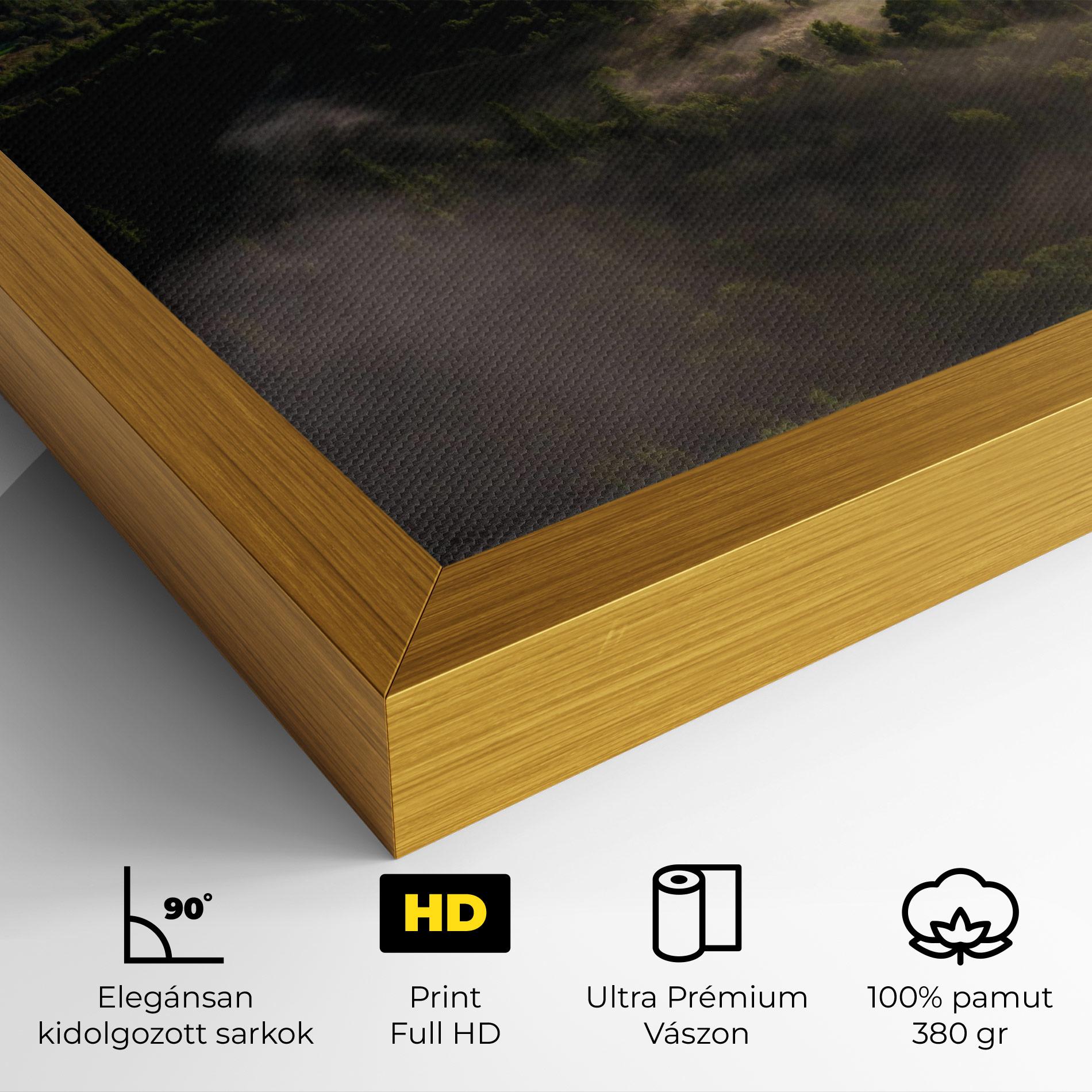 Vászonkép Foggy Forest View mockup 4