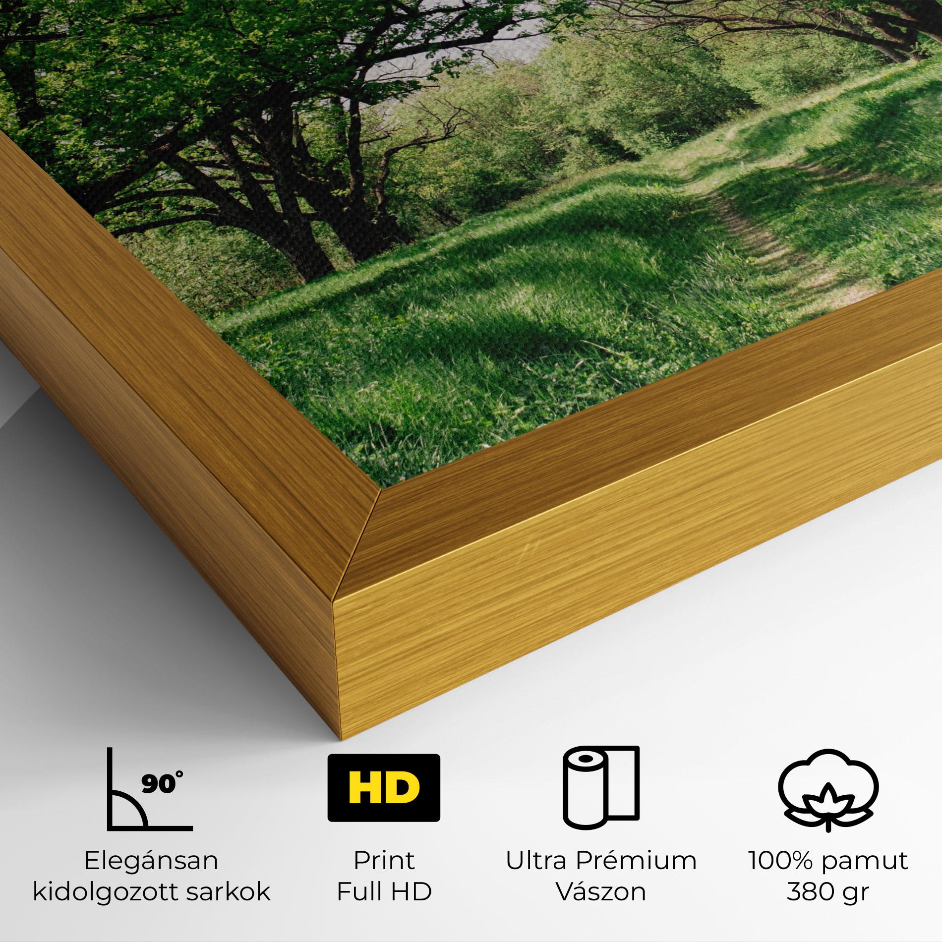 Vászonkép Forest Green Path mockup 4