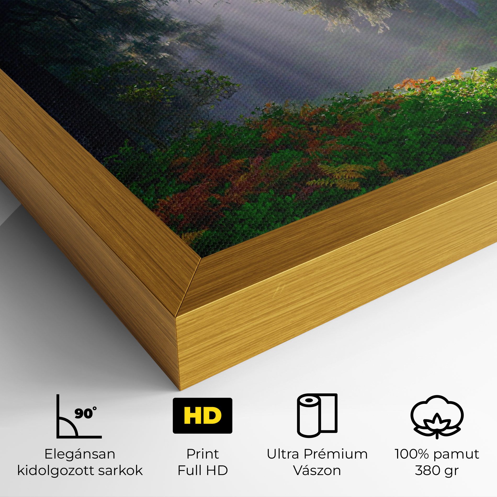 Forest Light mockup 4