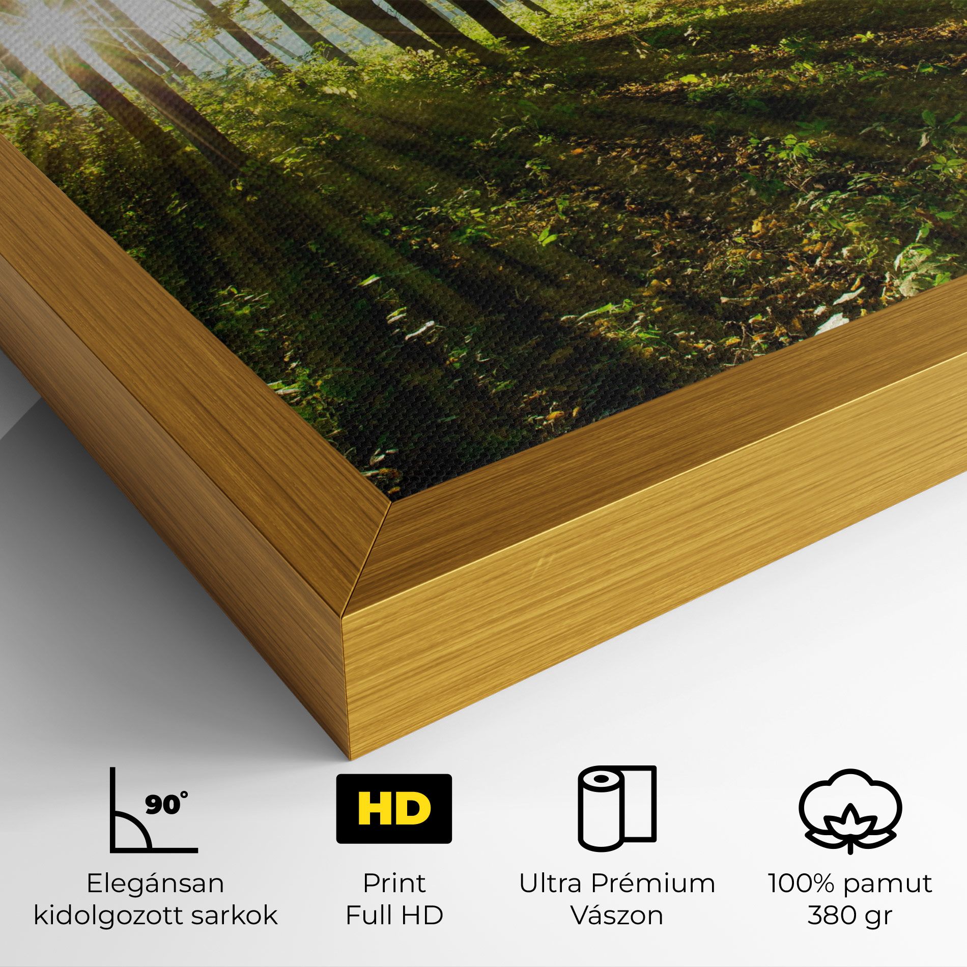 Green Light Forest mockup 4